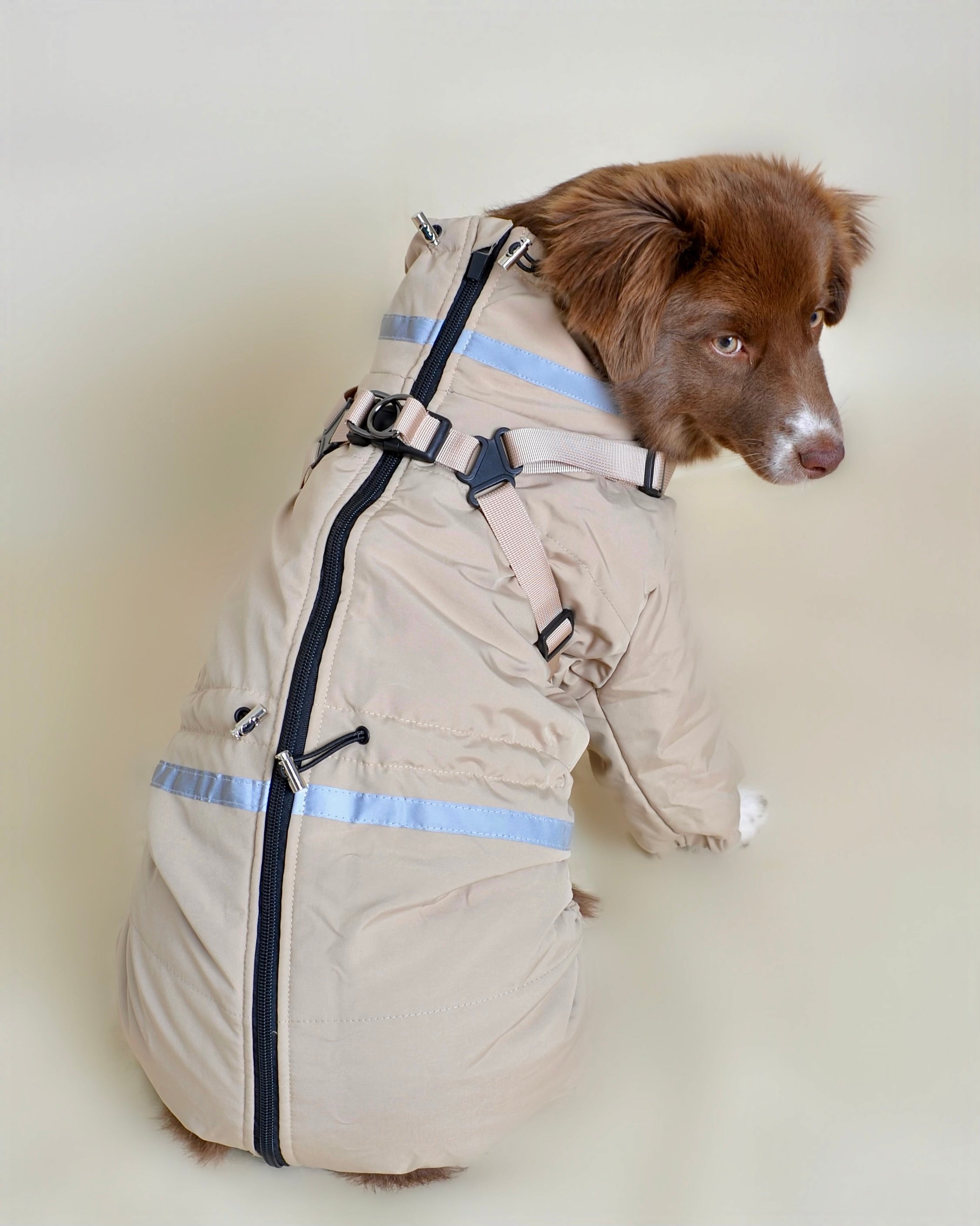 Doudoune pour chien - Beige (petit et moyen chien)