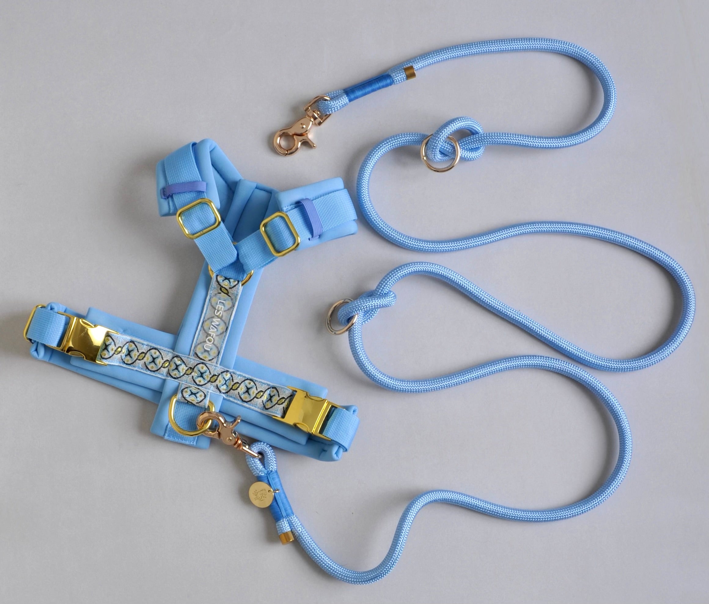 Laisse multi-positions pour chien - Bleu