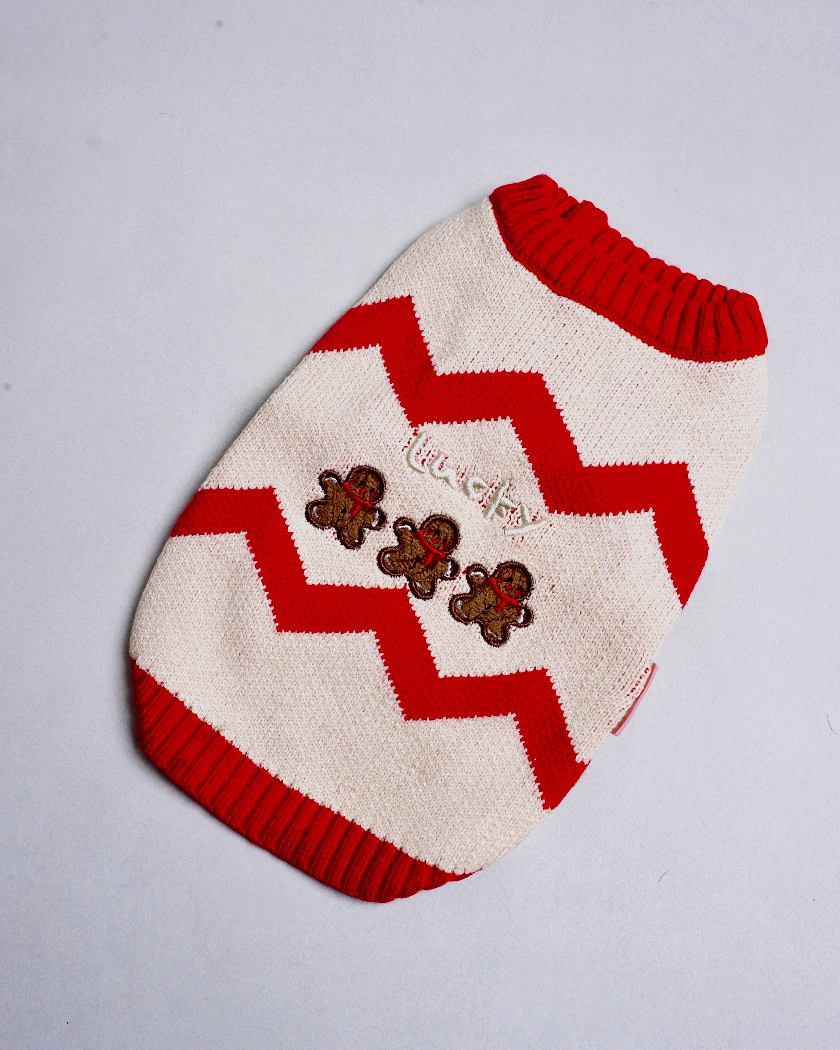 Pull de Noël pour chien