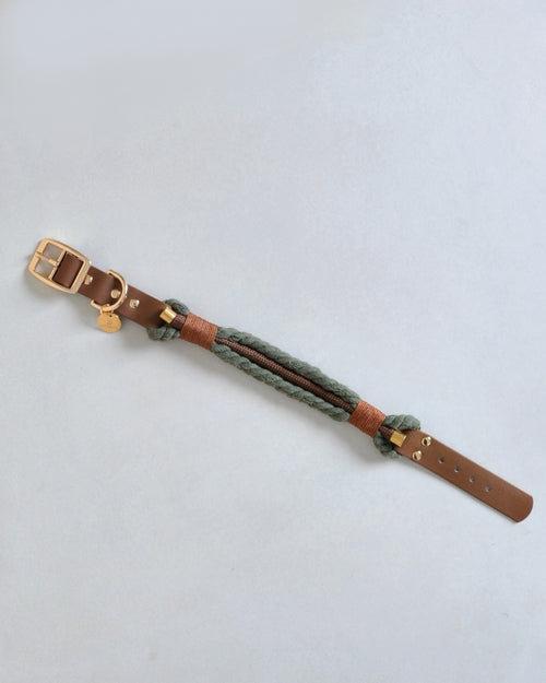 Collier tressé pour chien - Vert kaki