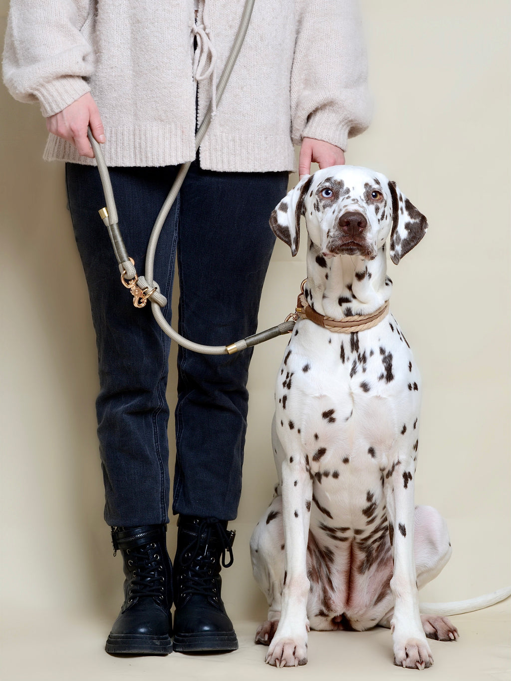 Collier tressé pour chien - Beige