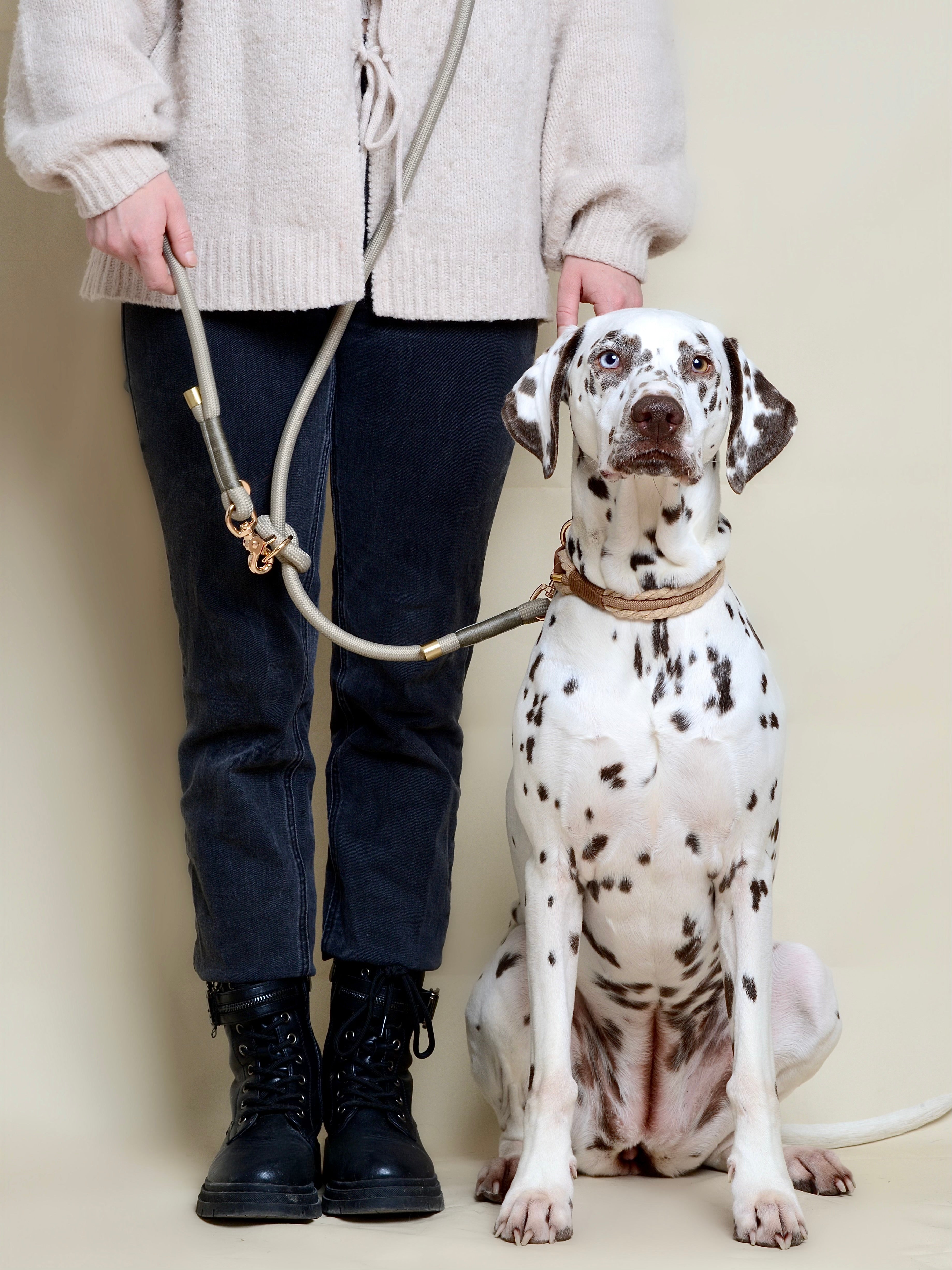 Collier tressé pour chien - Beige