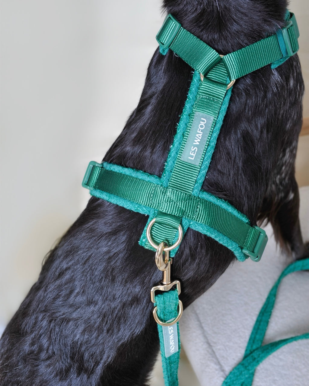 Harnais tweed chien - Vert