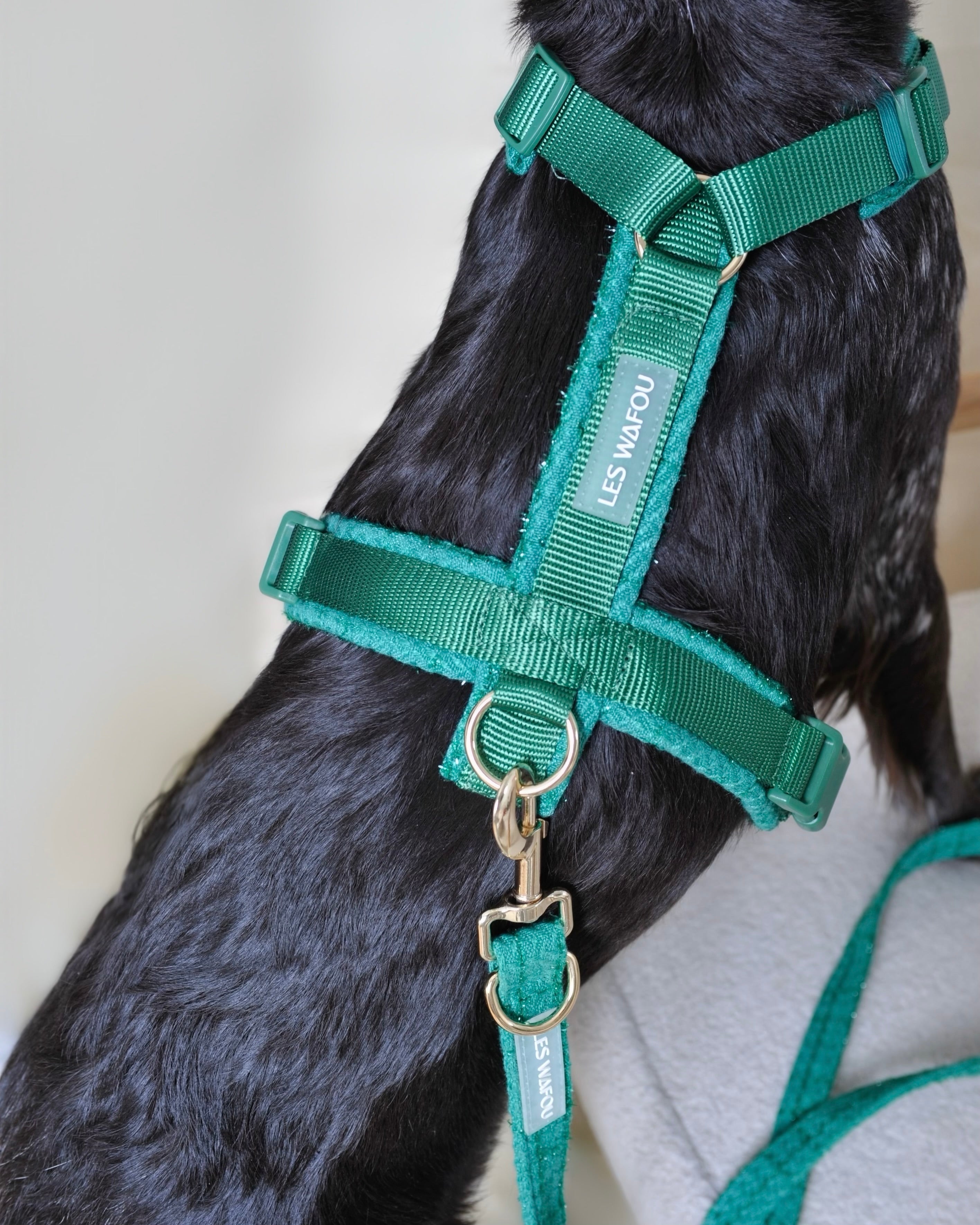 Harnais tweed chien - Vert
