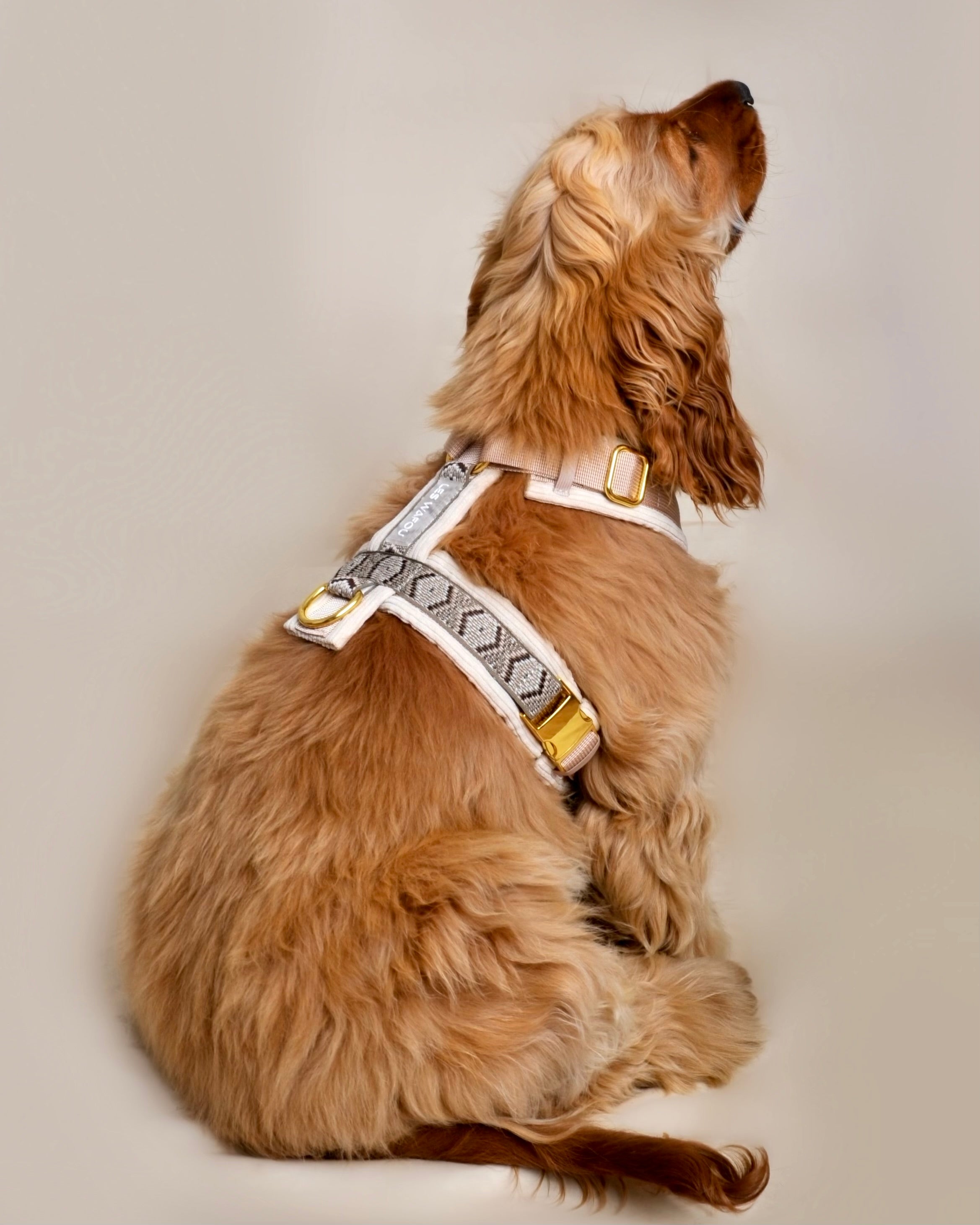 Harnais pour chien - Beige en velours côtelé