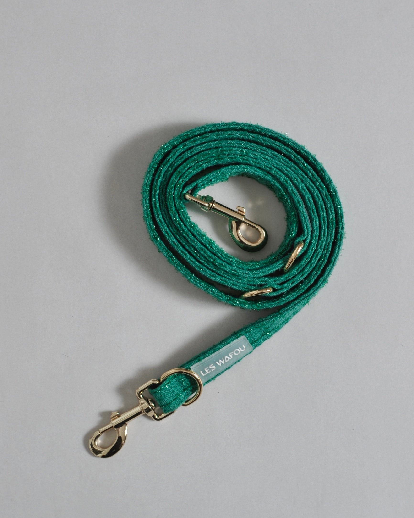 Laisse multi-positions pour chien - Vert