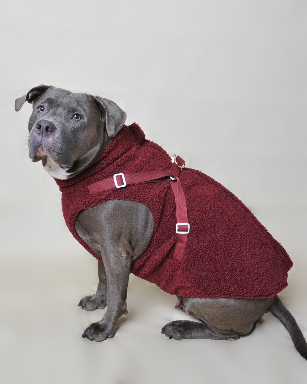 Manteau moumoute pour chien - Rouge bordeaux