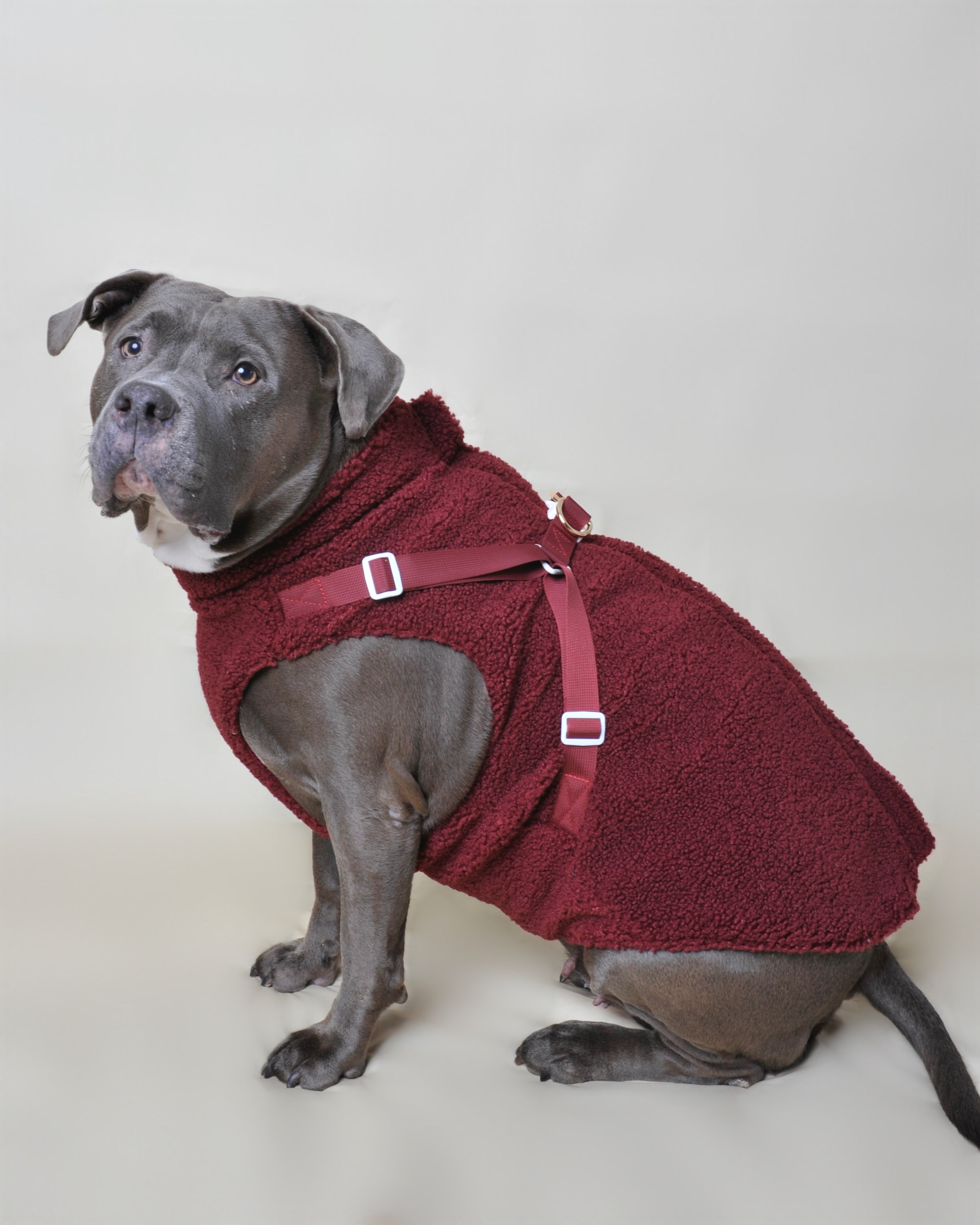 Manteau moumoute pour chien - Rouge bordeaux