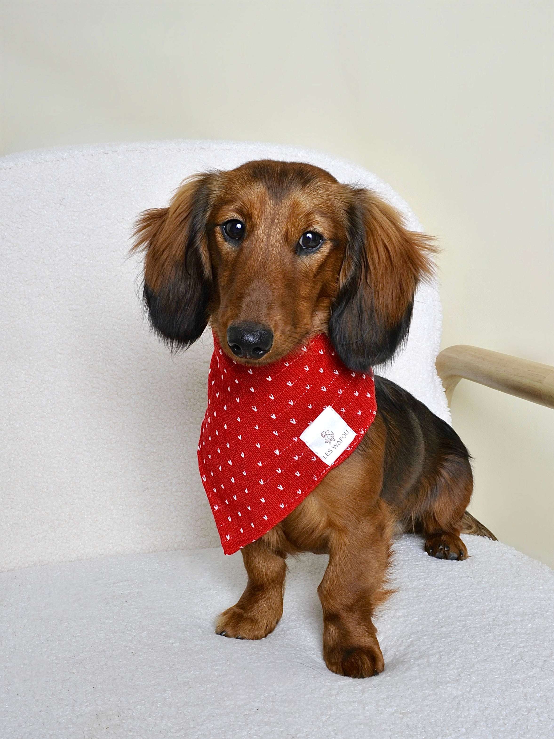 Bandana pour chien - Cœurs rouges