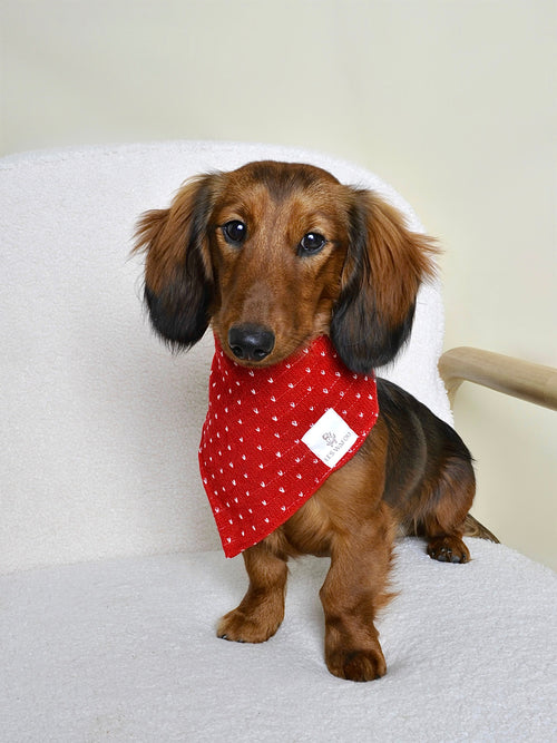 Bandana pour chien - Cœurs rouges