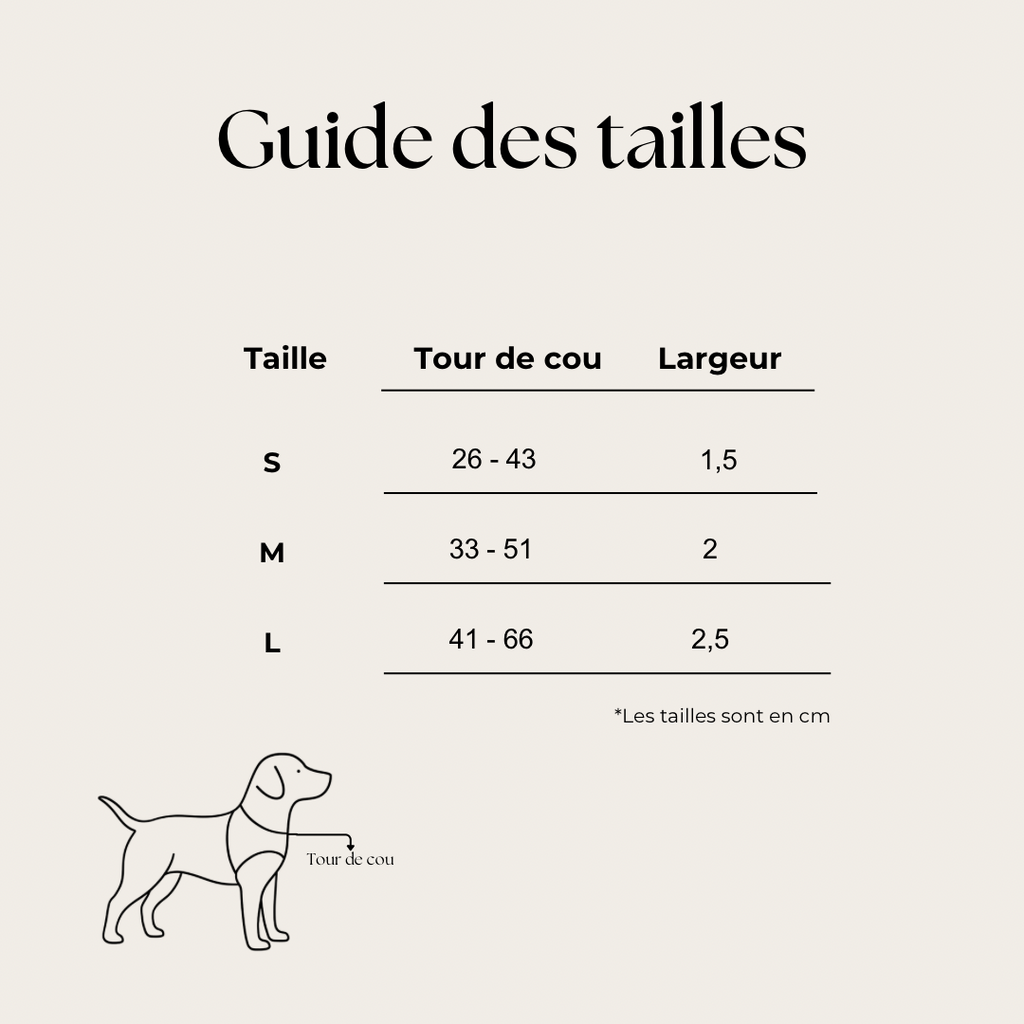 Collier pour chien - Zébra