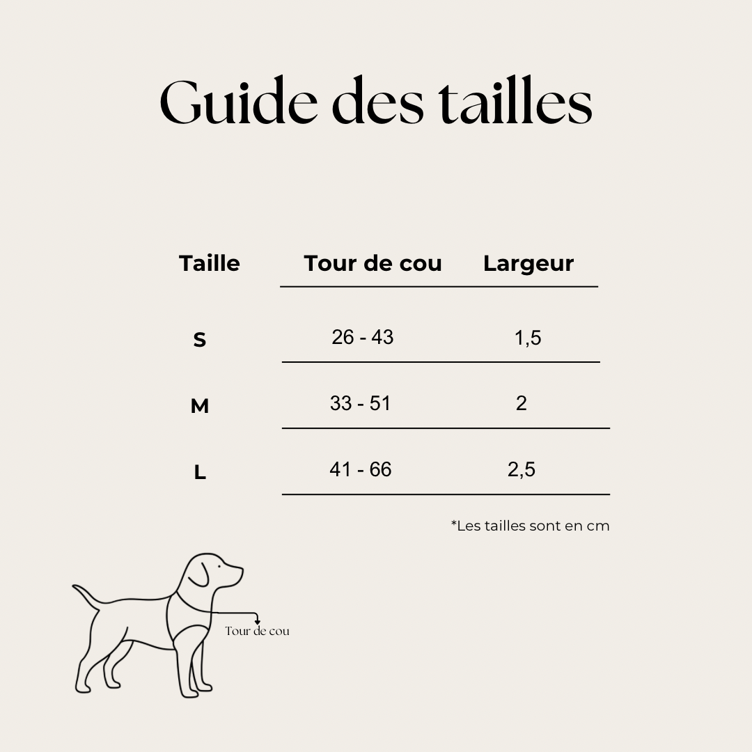 Collier pour chien - Zébra
