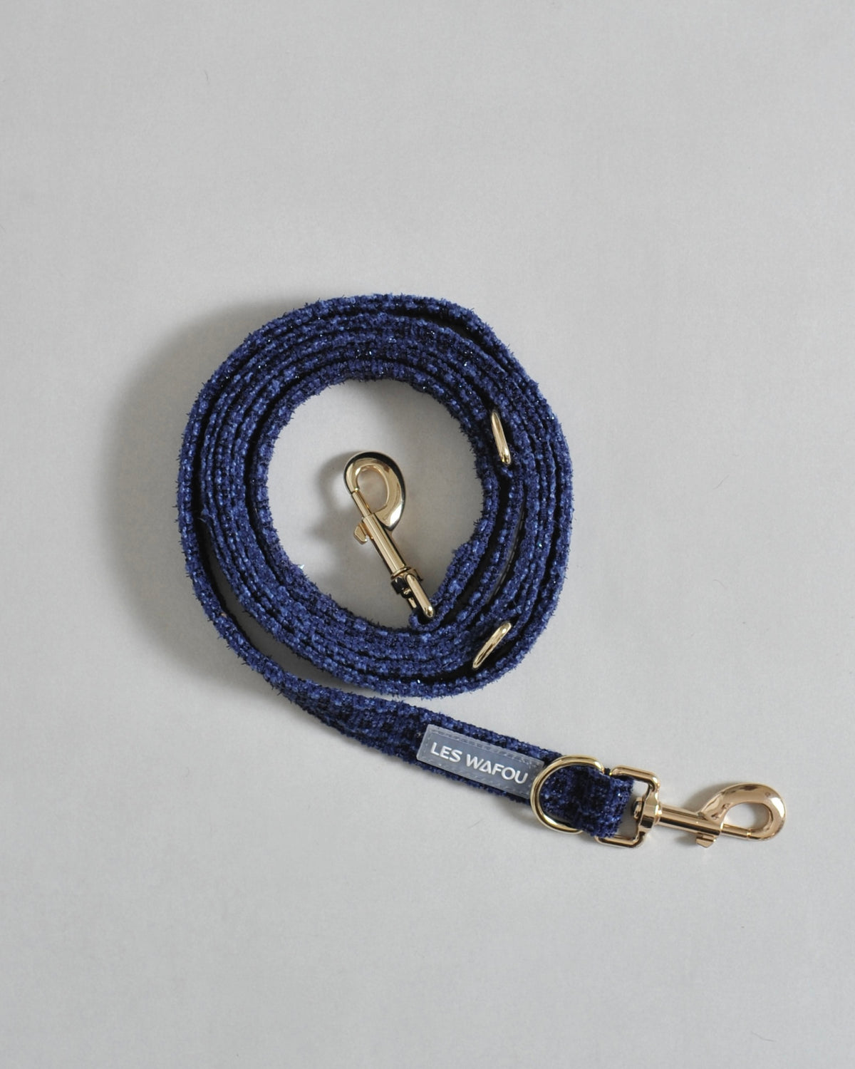 Laisse multi-positions pour chien - Bleu