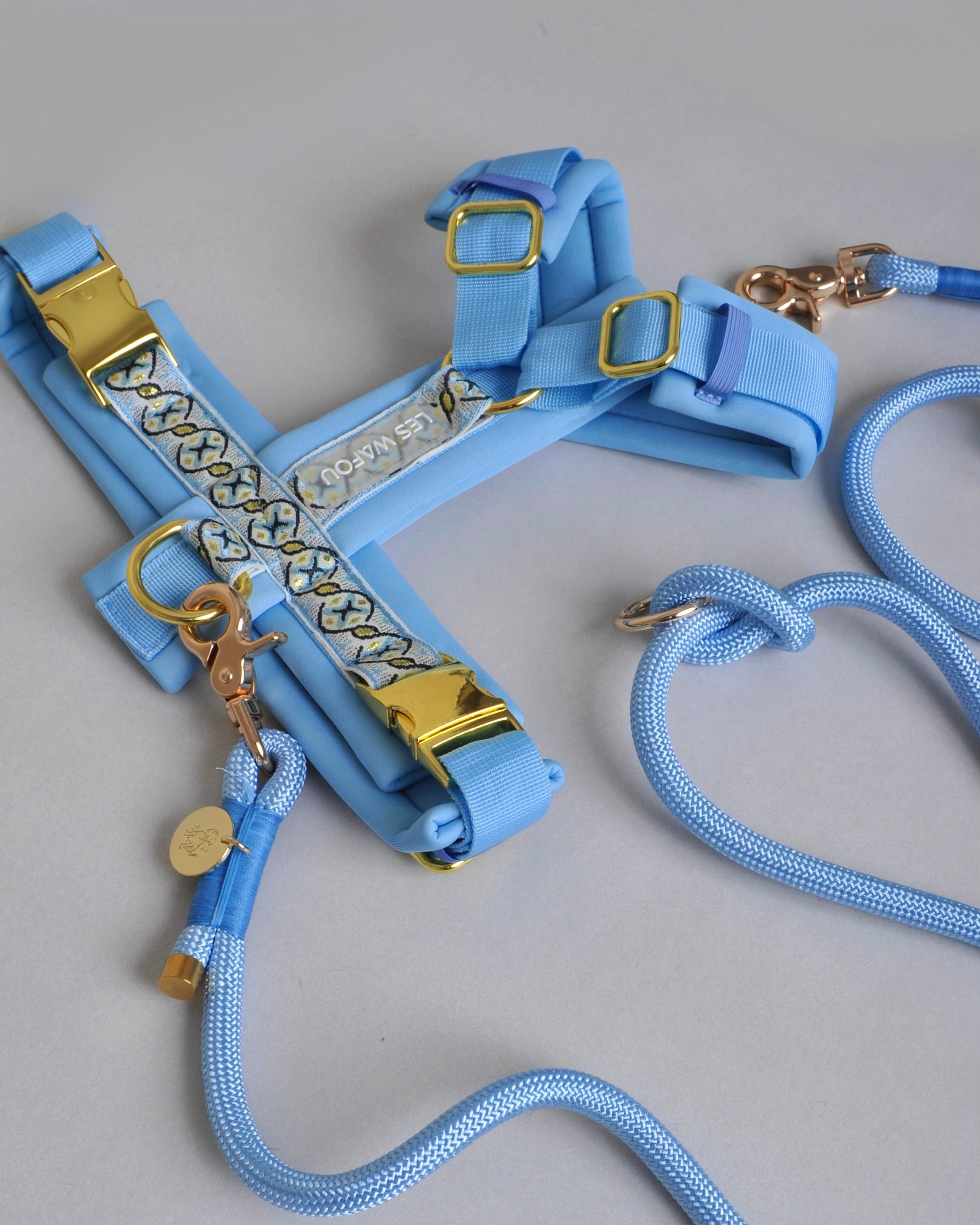 Harnais pour chien - Bleu