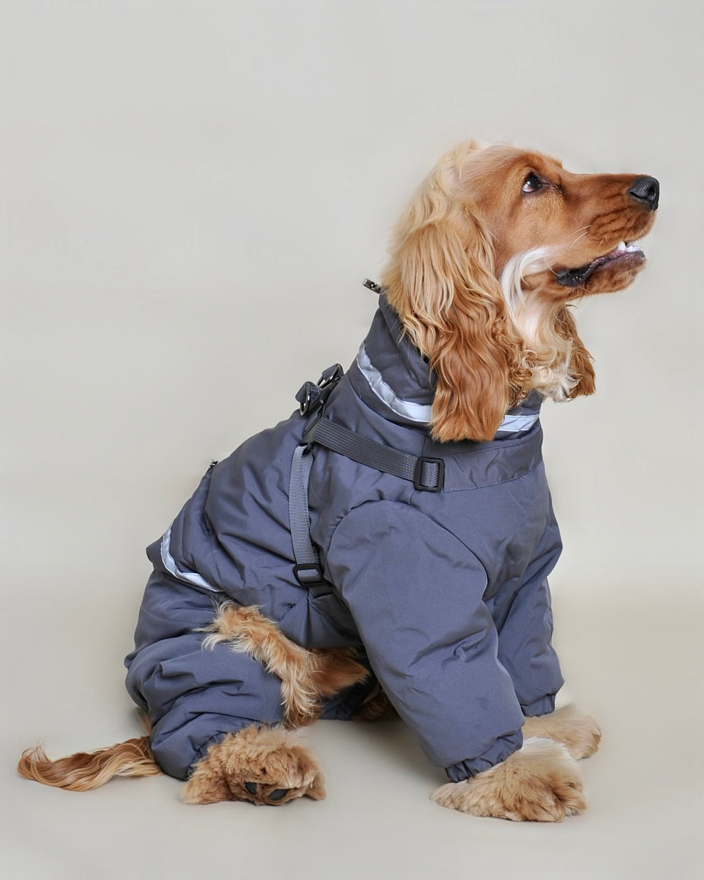 Doudoune pour chien - Noir (petit et moyen chien)