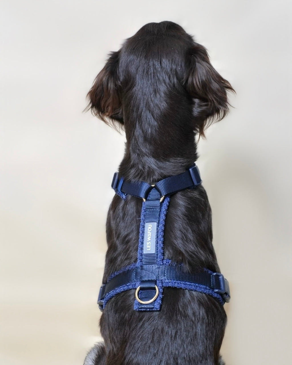 Harnais tweed chien - Bleu