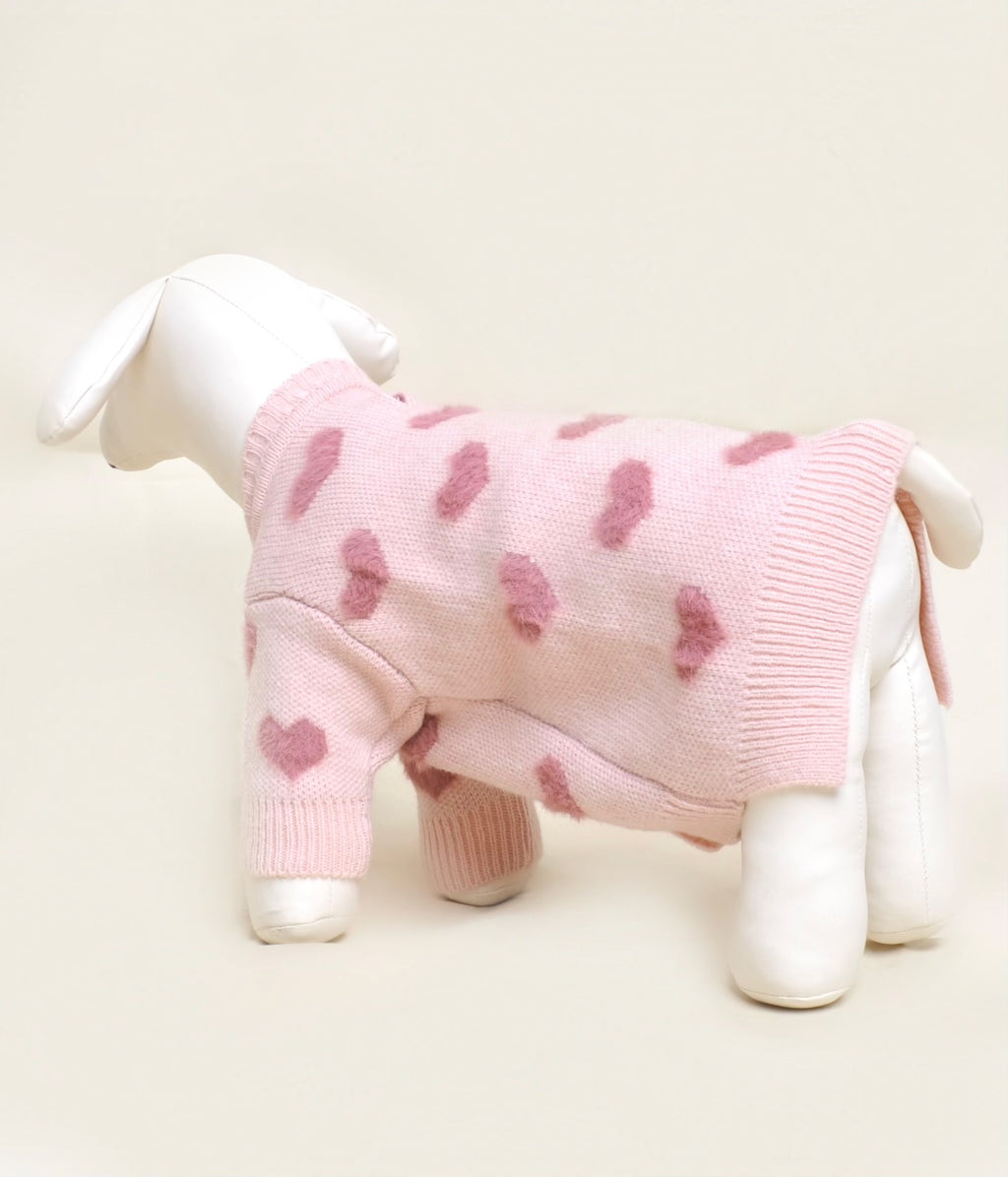 Pull pour chien - Sweetie 🎀