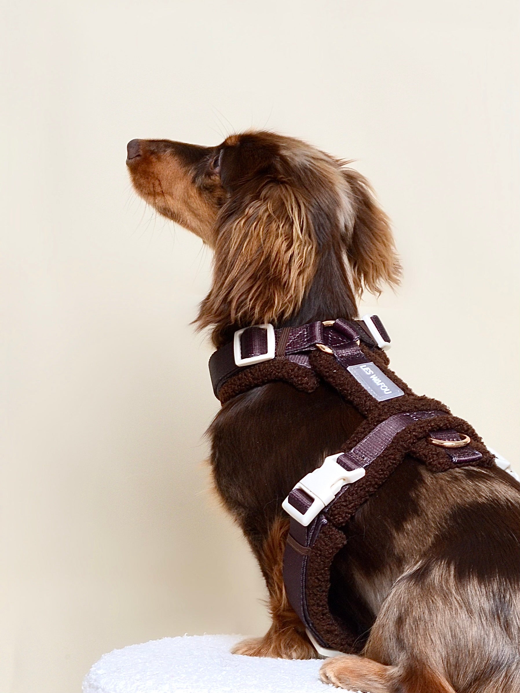 Harnais moumoute chien - Chocolat