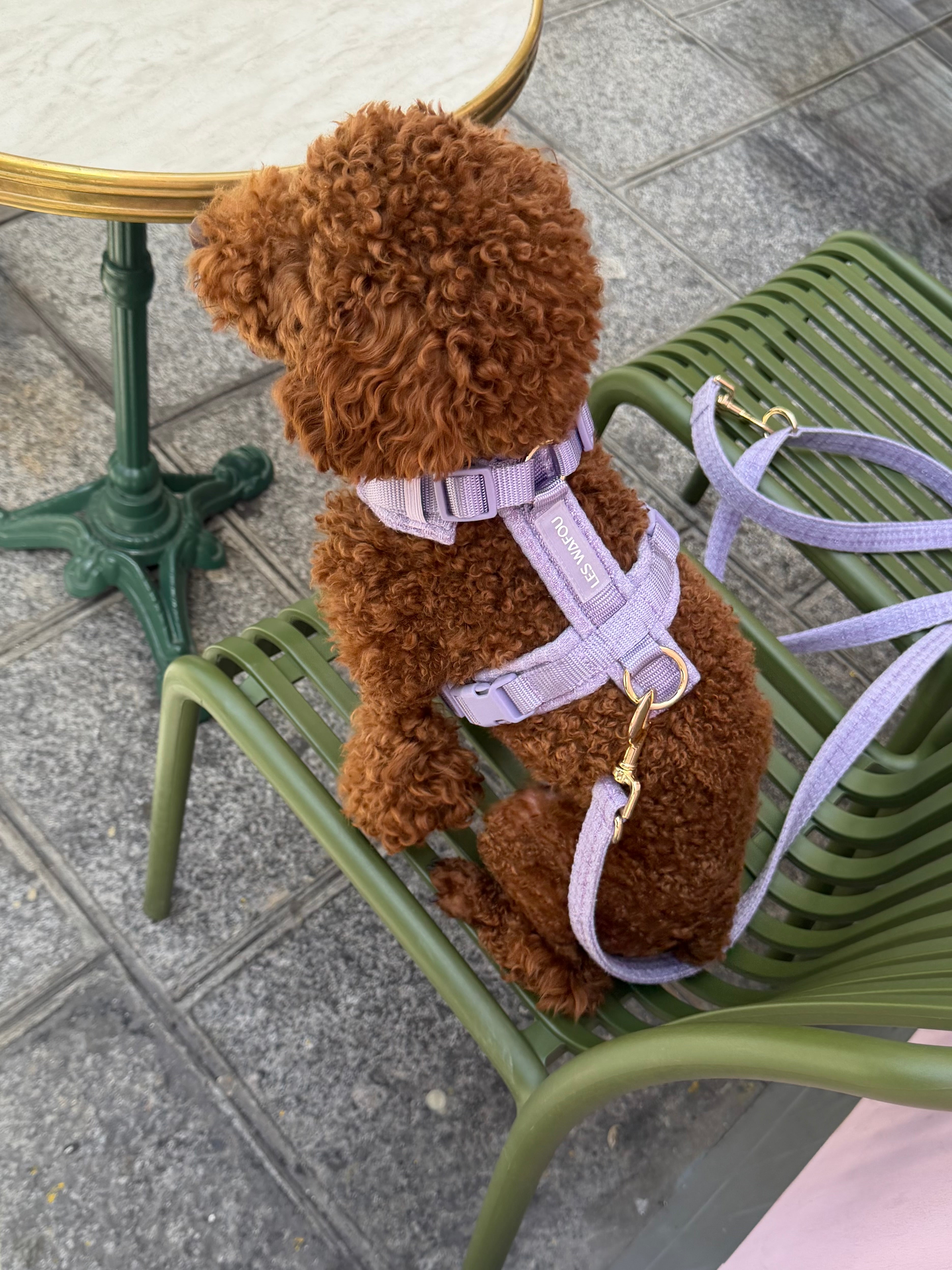 Harnais tweed chien - Lavande