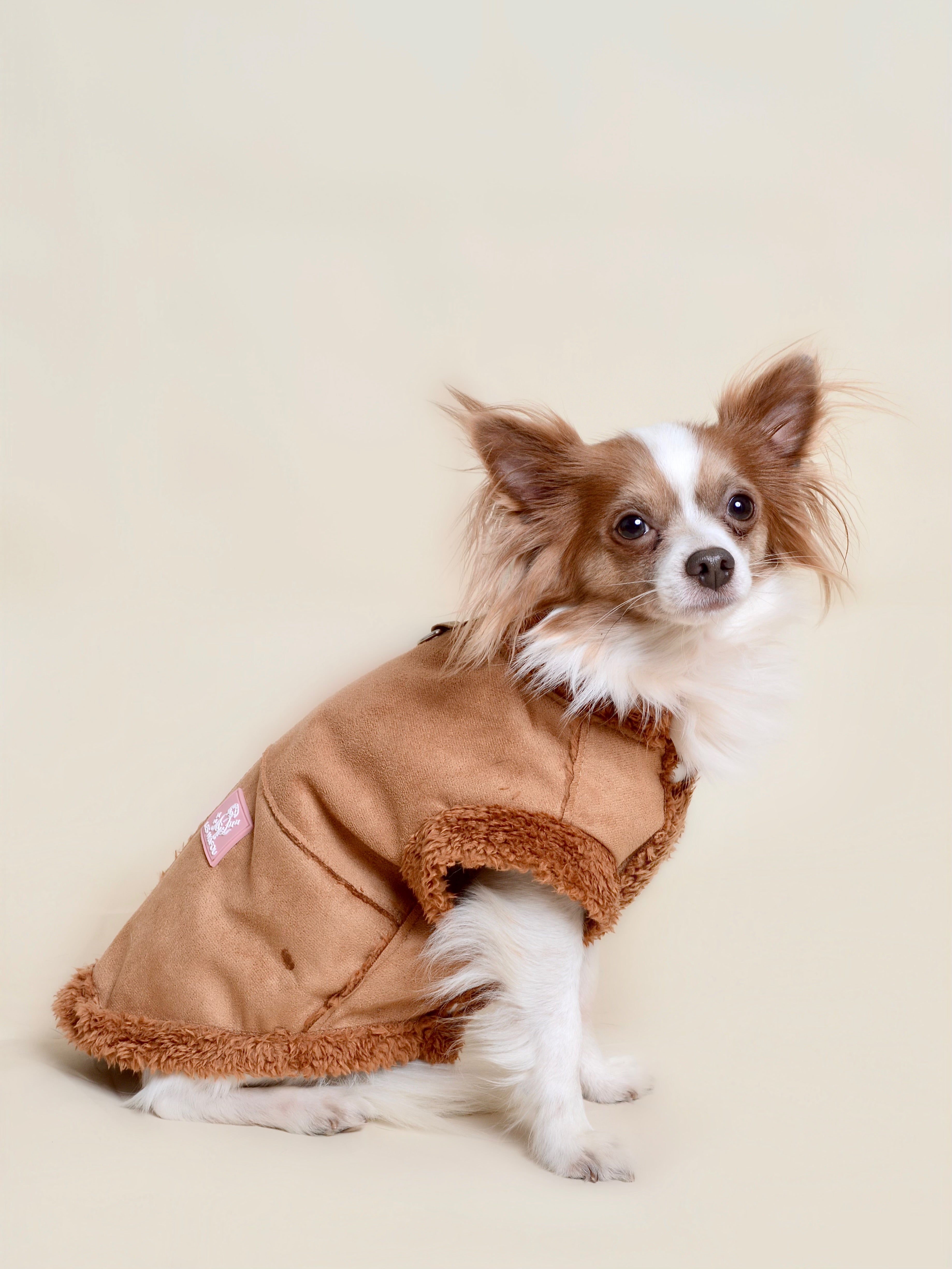 Manteau pour chien - Marron (spécial petit chien)