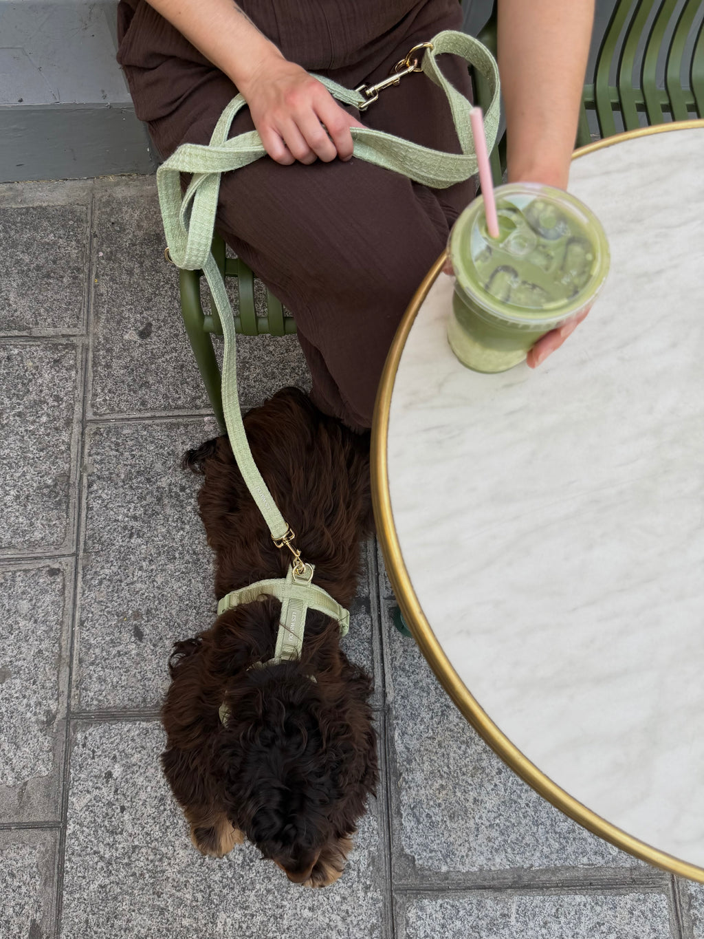 Laisse multi-positions pour chien - Pistache