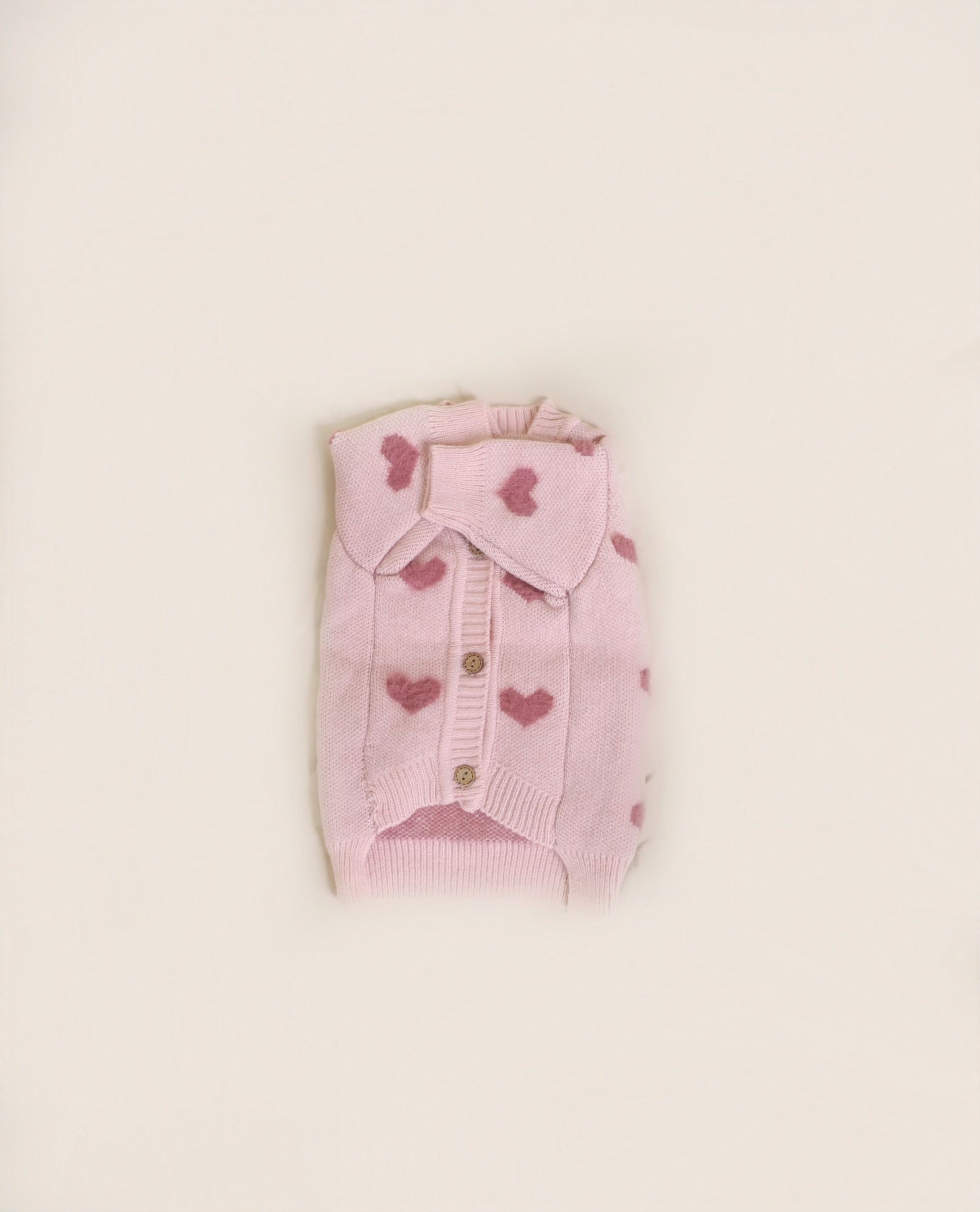 Pull pour chien - Sweetie 🎀
