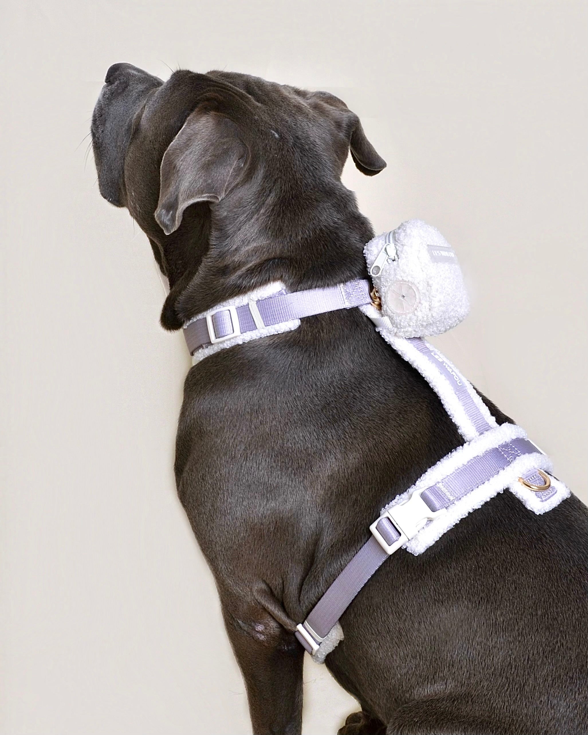 Harnais moumoute chien + sac à dos - Café