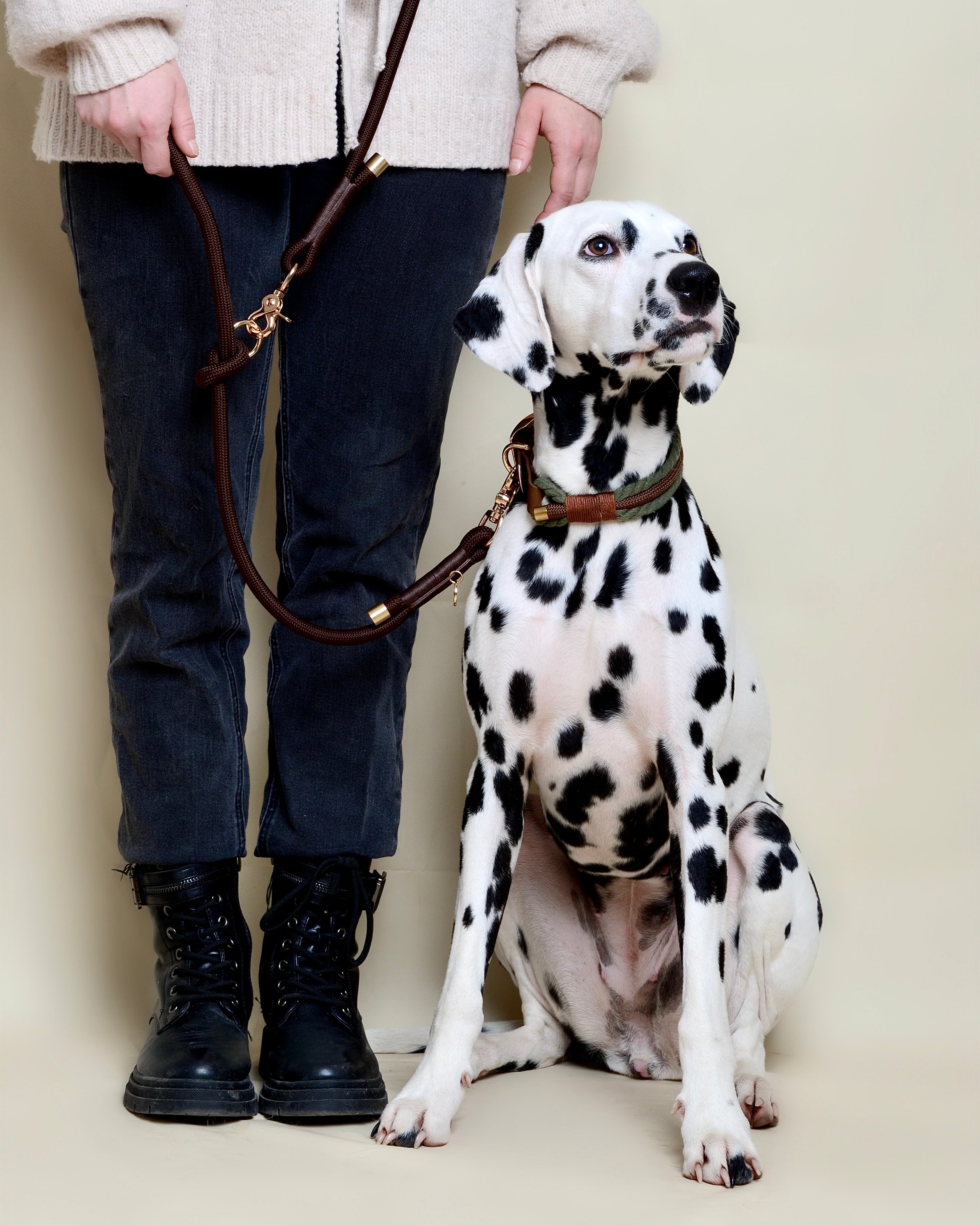 Laisse multi-positions pour chien - Marron