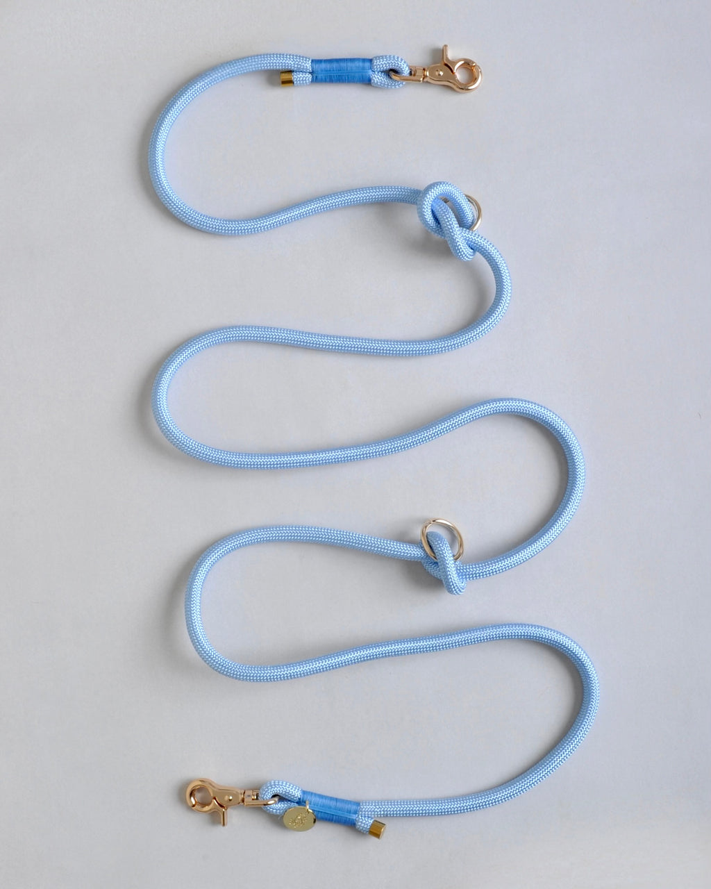 Laisse multi-positions pour chien - Bleu