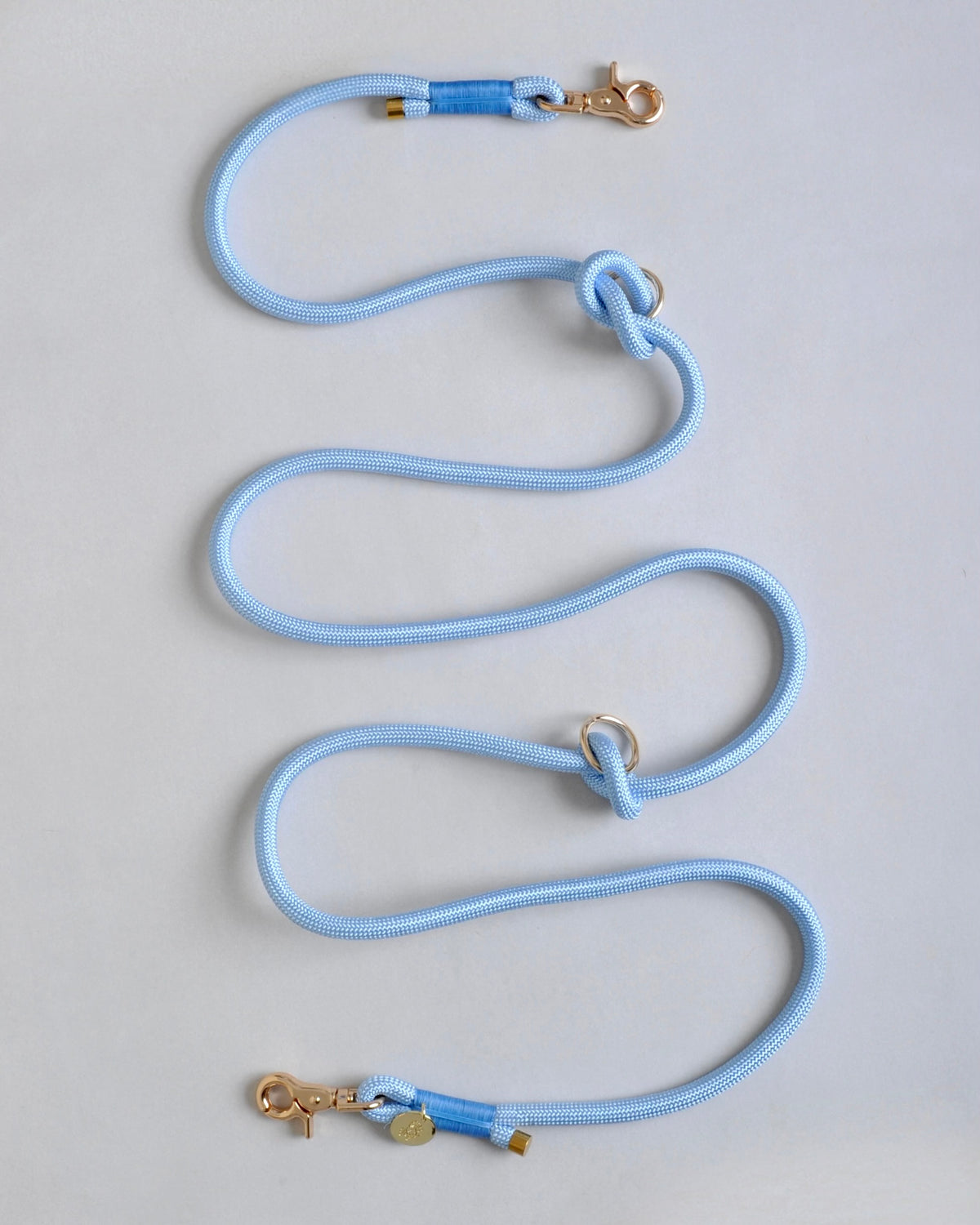 Laisse multi-positions pour chien - Bleu