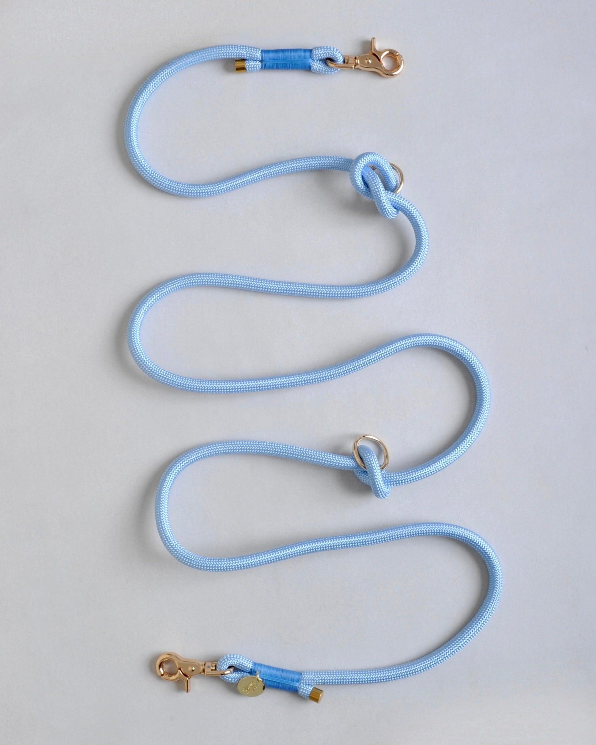 Laisse multi-positions pour chien - Bleu