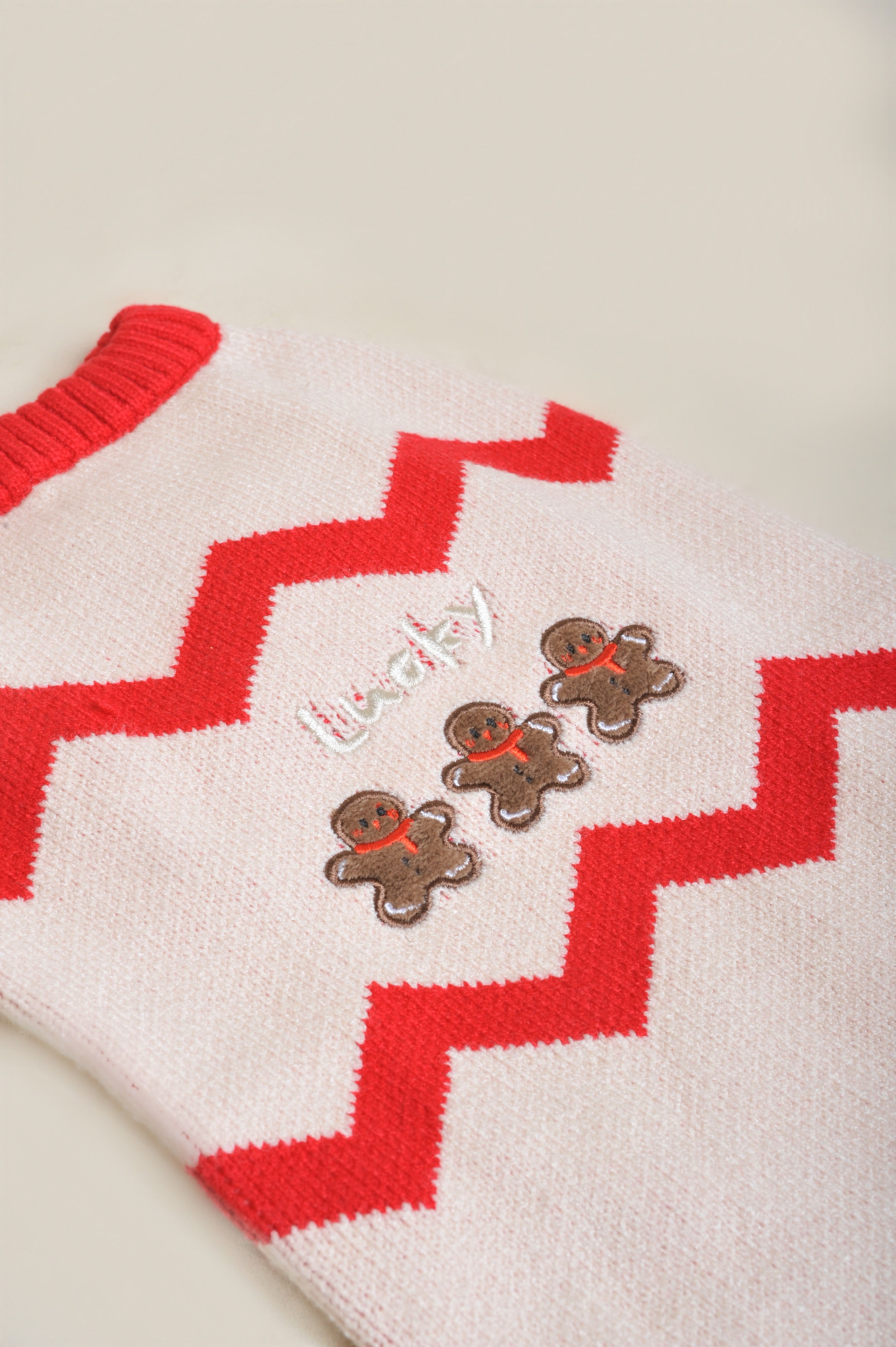 Pull de Noël pour chien