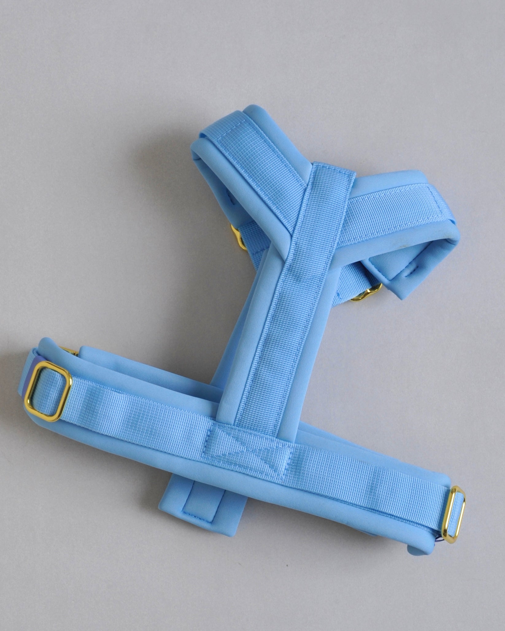 Harnais pour chien - Bleu
