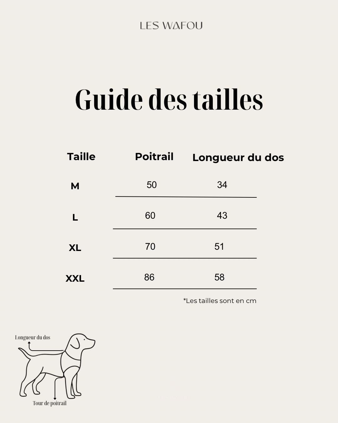 Pull pour chien en tricot - Mimi 💗