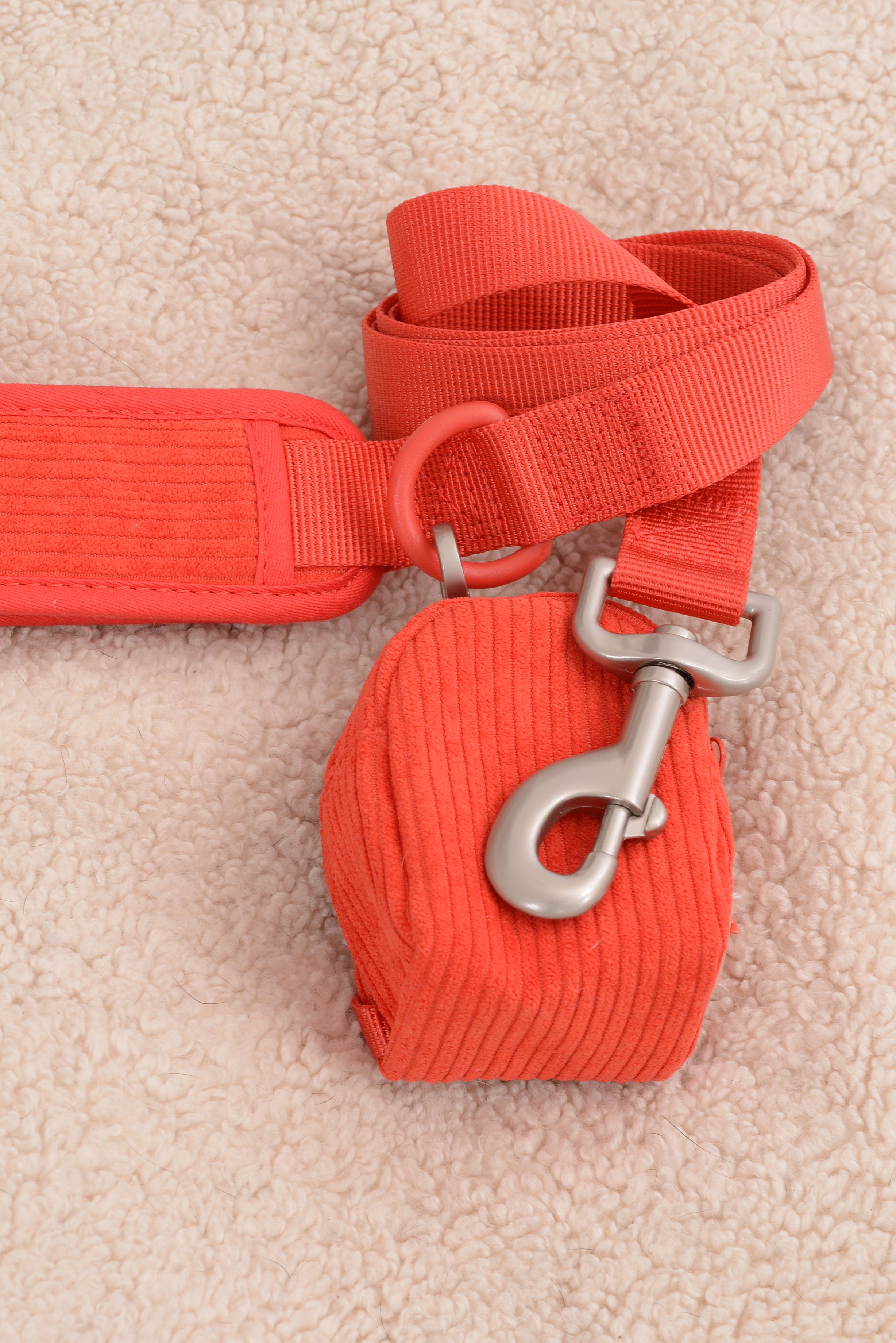 Laisse pour chien - Rouge