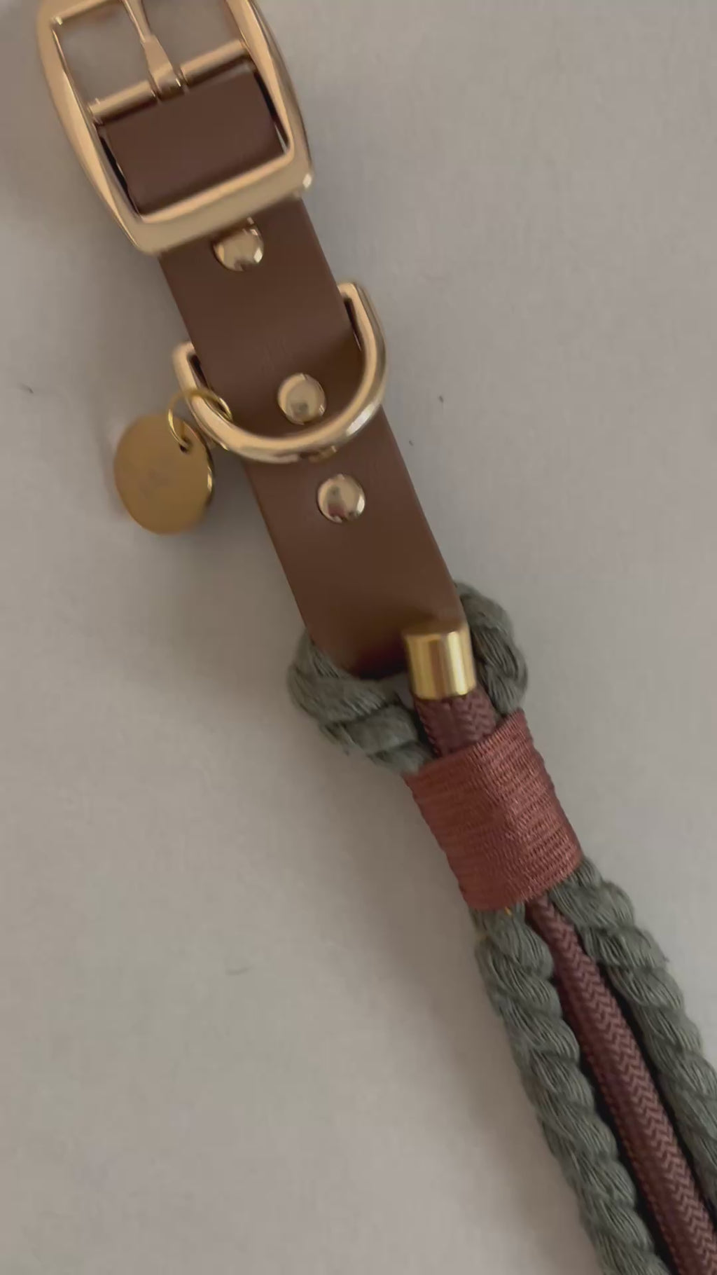 Collier tressé pour chien - Vert kaki