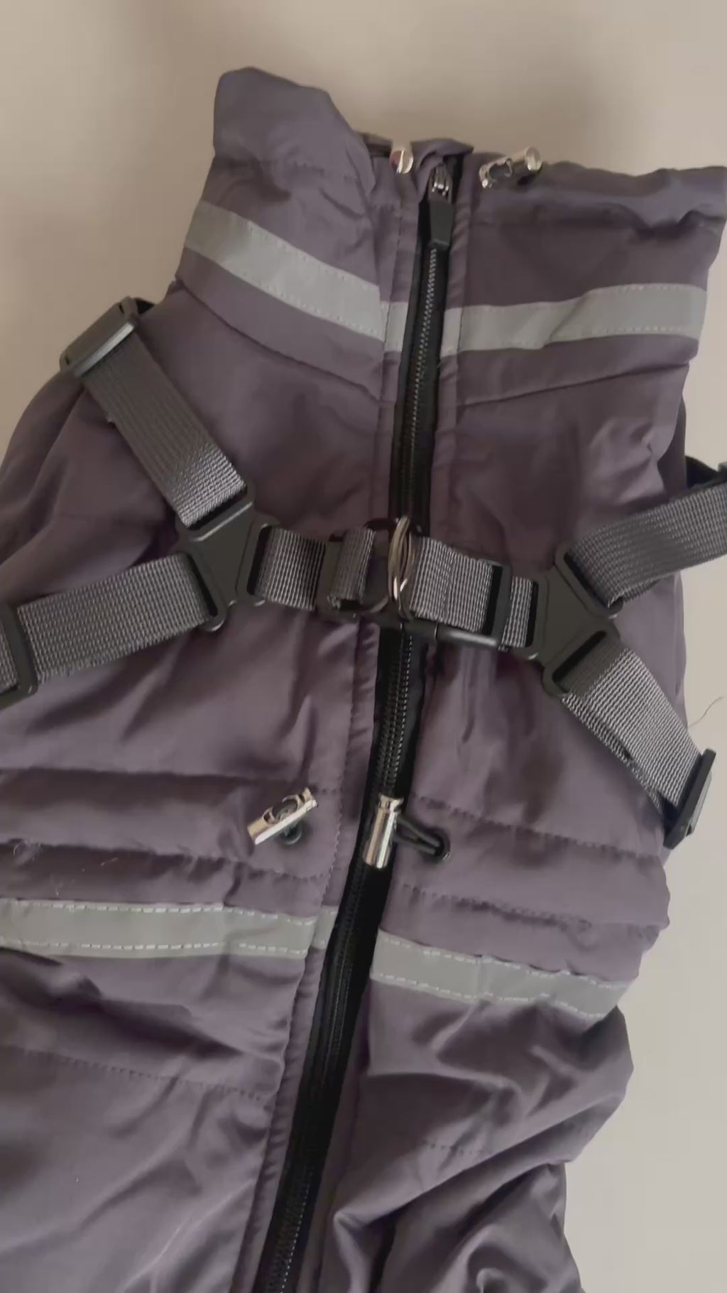 Doudoune pour chien - Noir (petit et moyen chien)