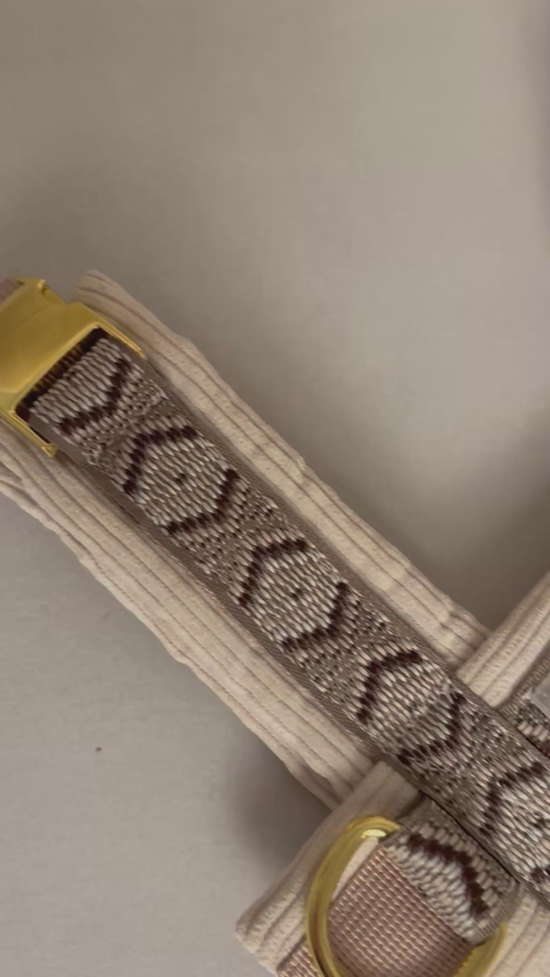 Harnais pour chien - Beige en velours côtelé