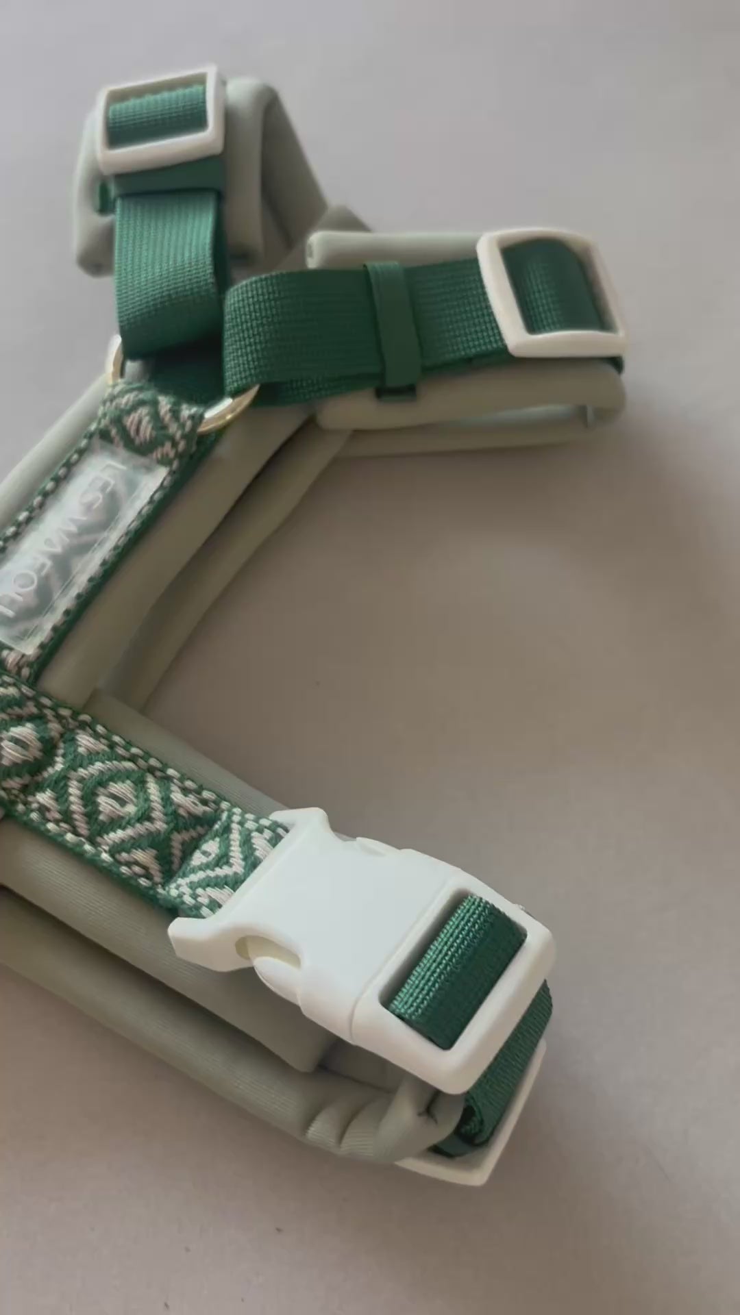 Harnais pour chien - Vert foncé