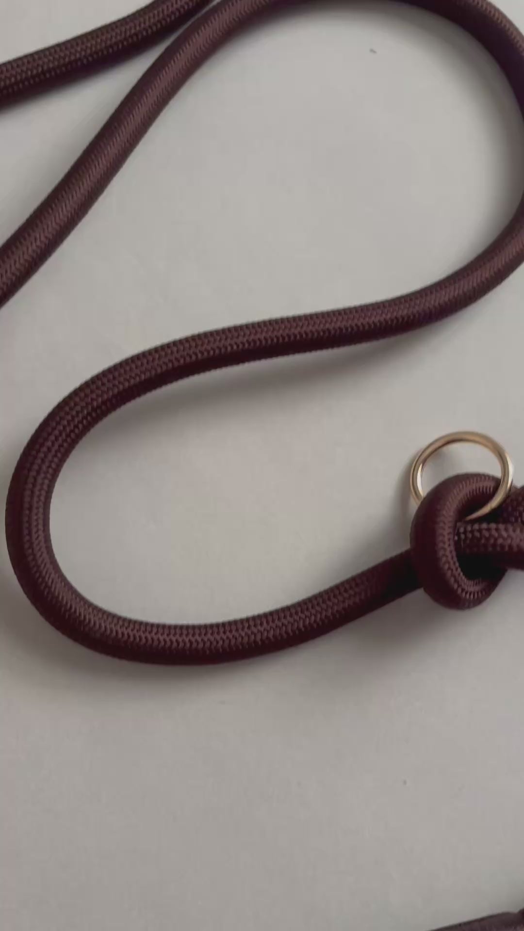 Laisse multi-positions pour chien - Marron