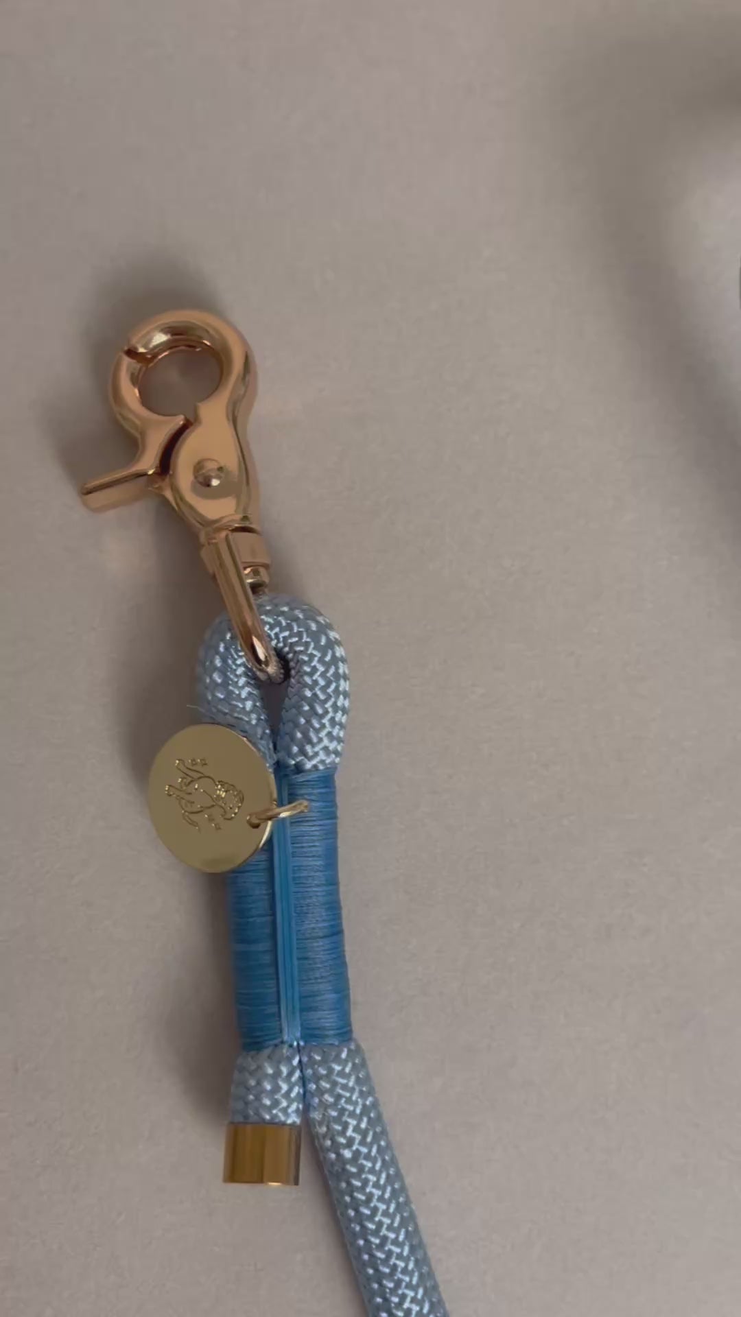 Laisse multi-positions pour chien - Bleu