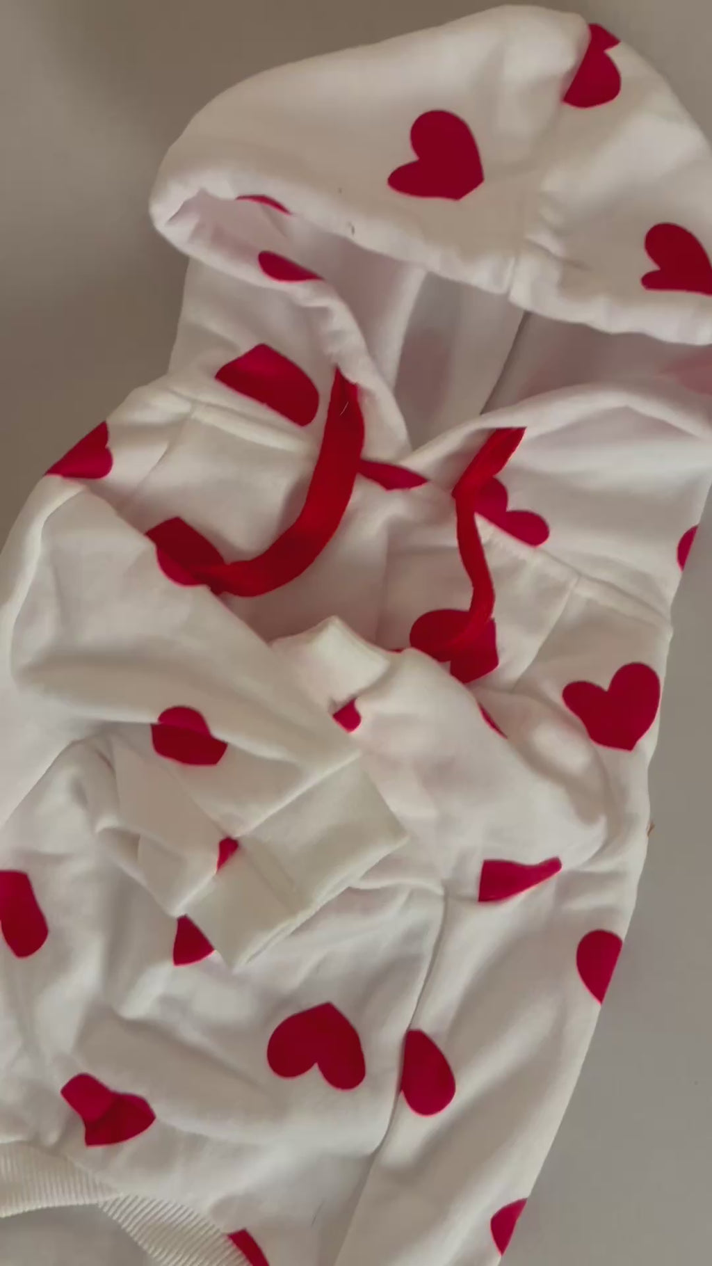 Pull à capuche pour chien - Chippie 💞