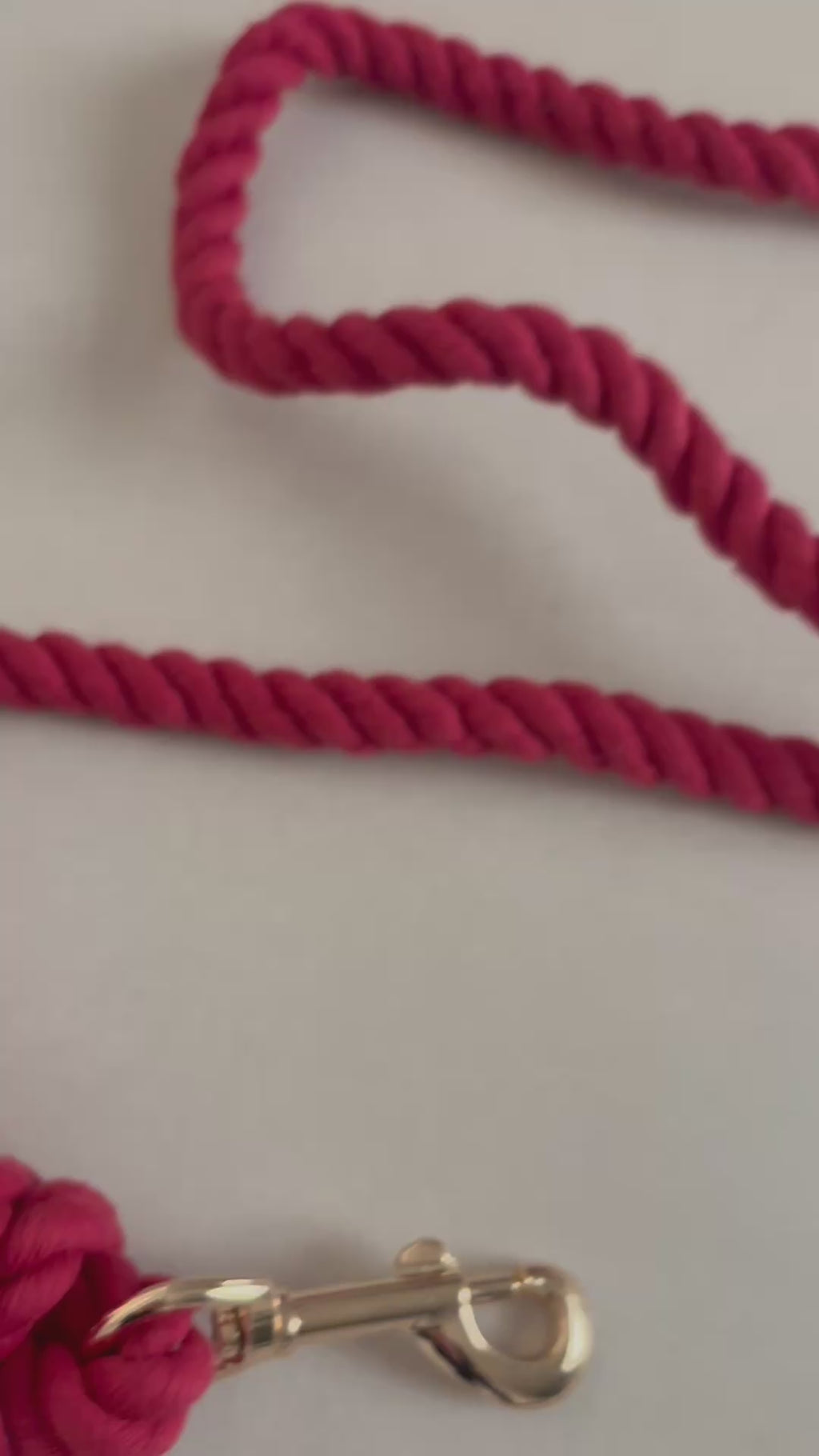 Laisse pour chien - Rouge