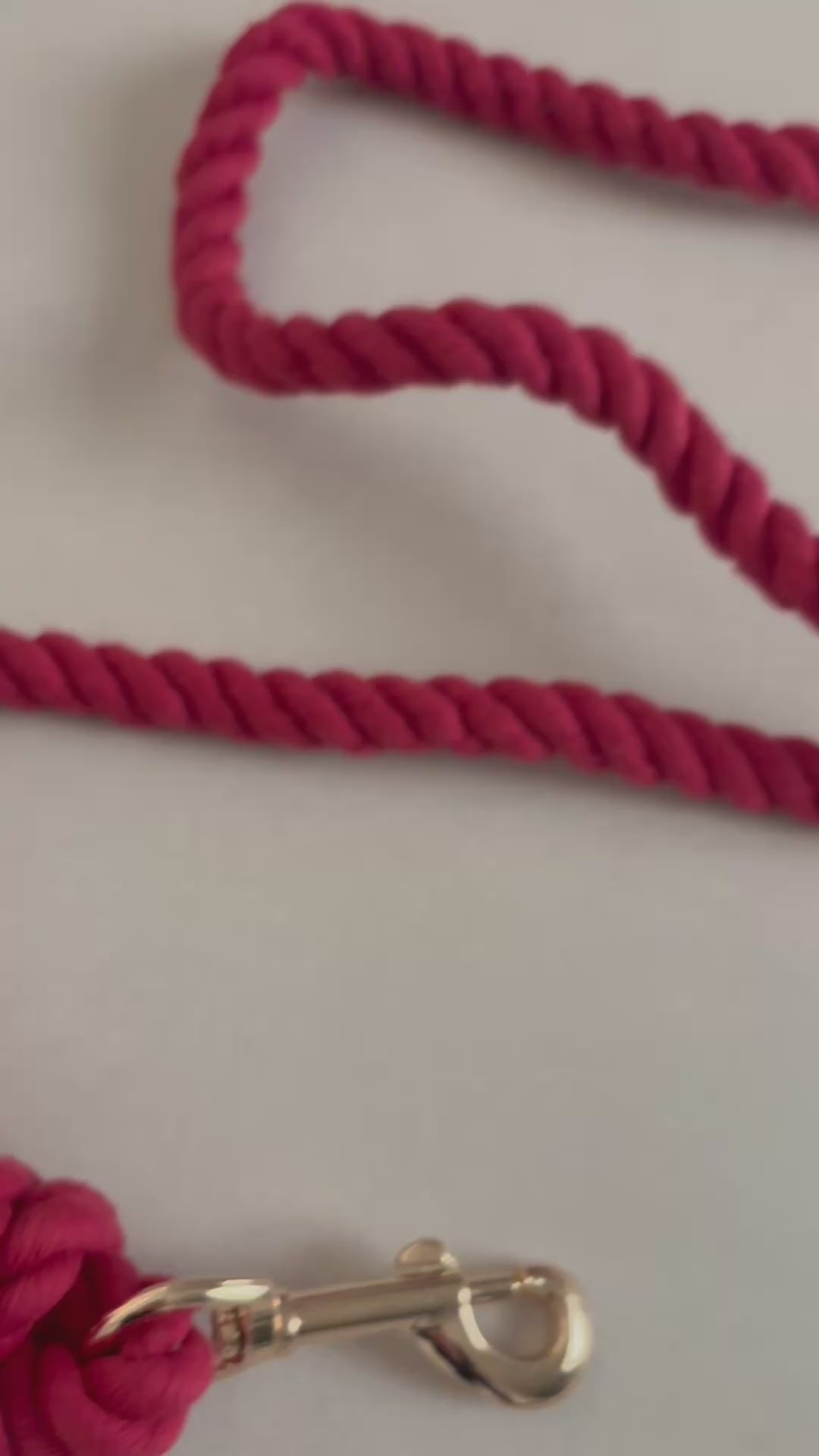 Laisse pour chien - Rouge