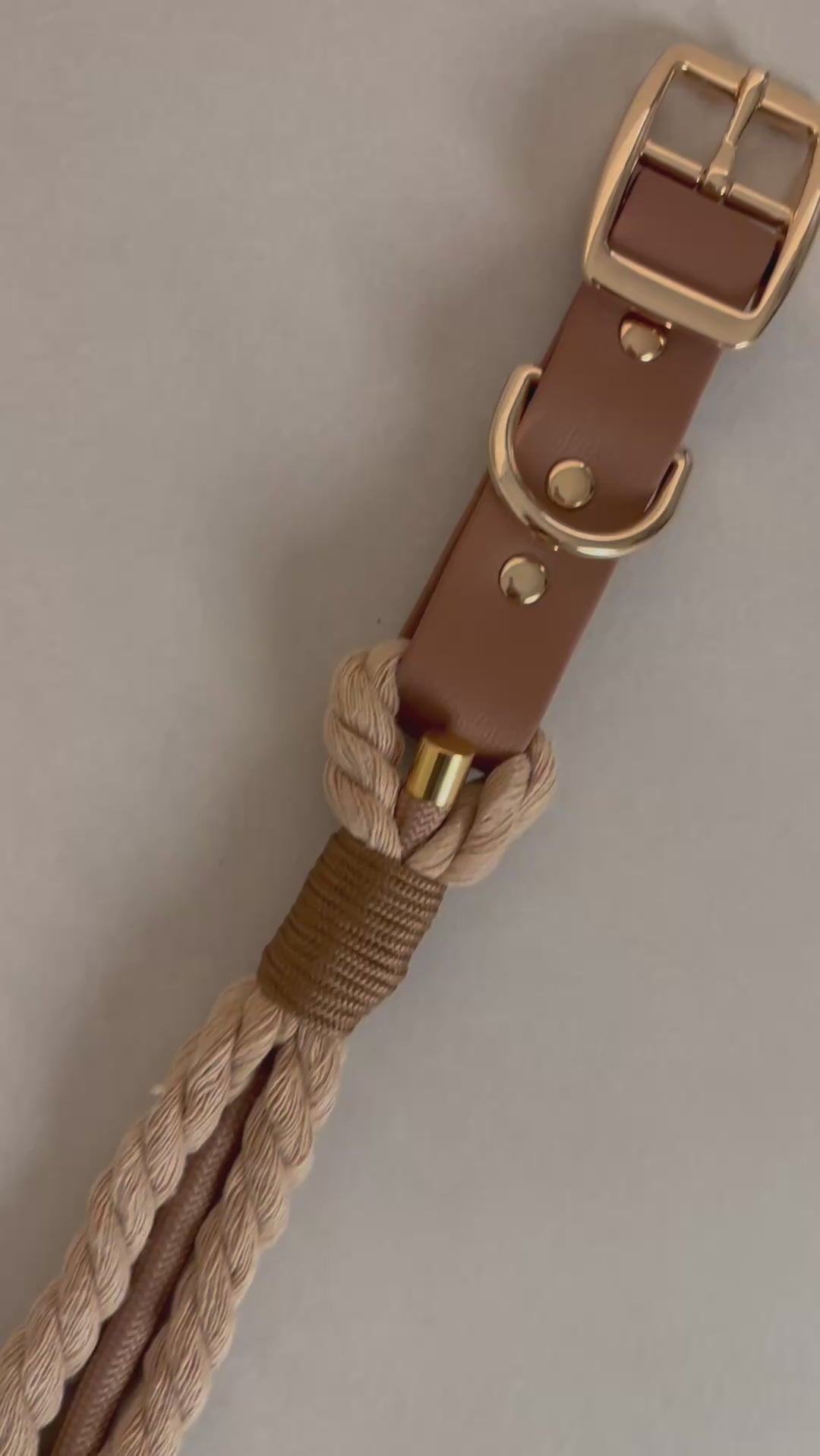 Collier tressé pour chien - Beige