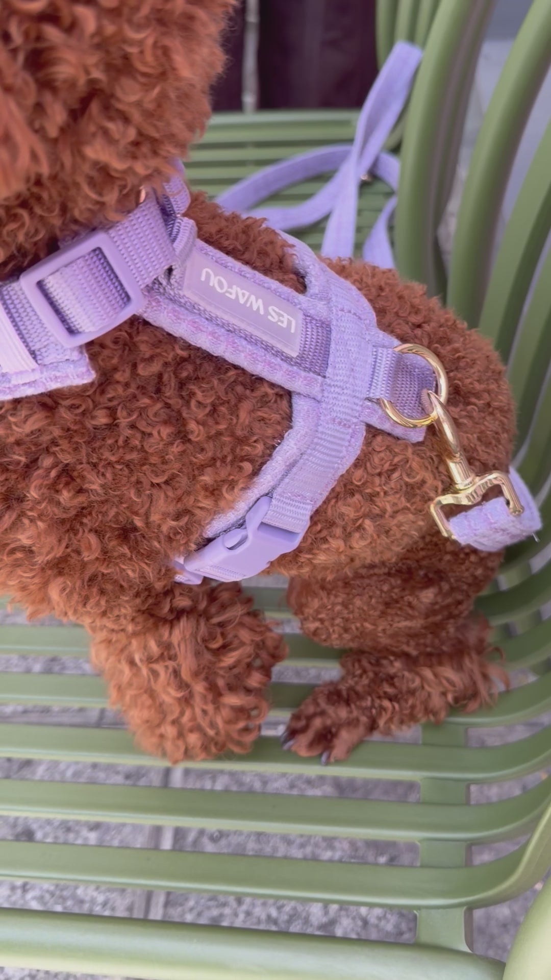 Harnais tweed chien - Lavande